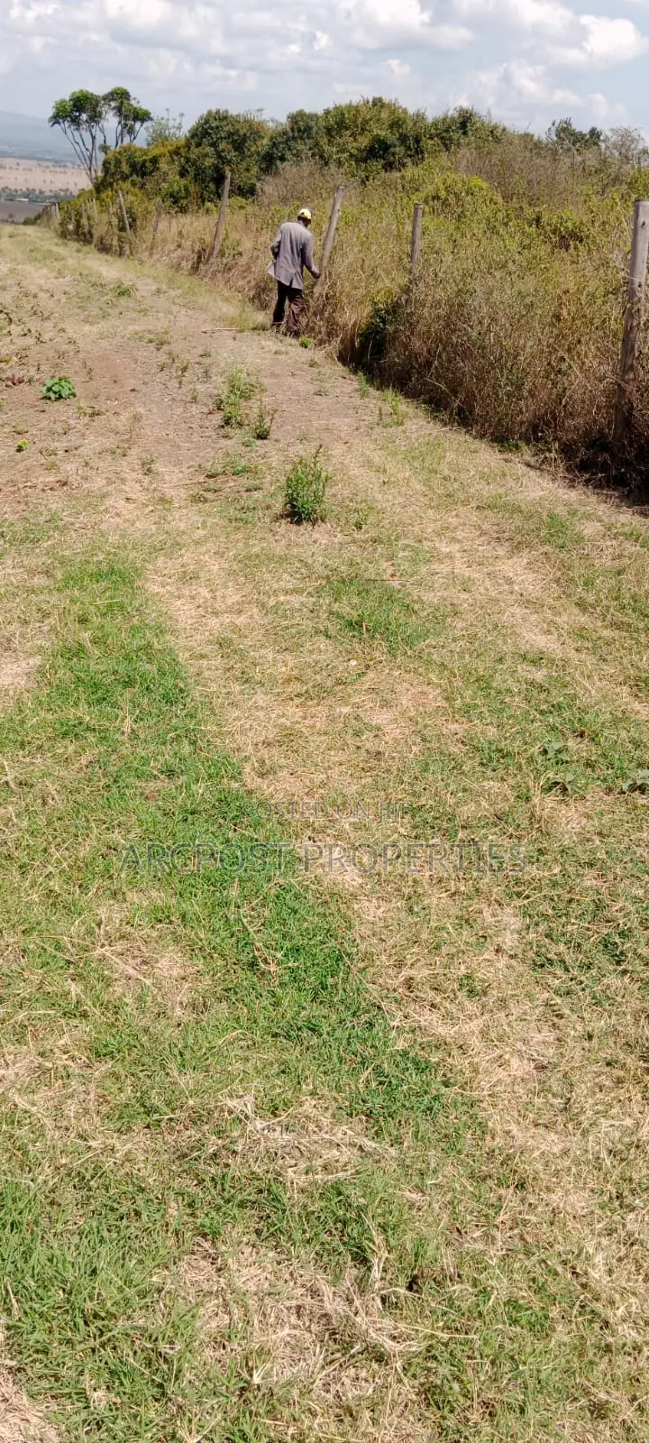 10 Acres for Sale in Mwiga – Bordering Aberdare National Park in Nyeri