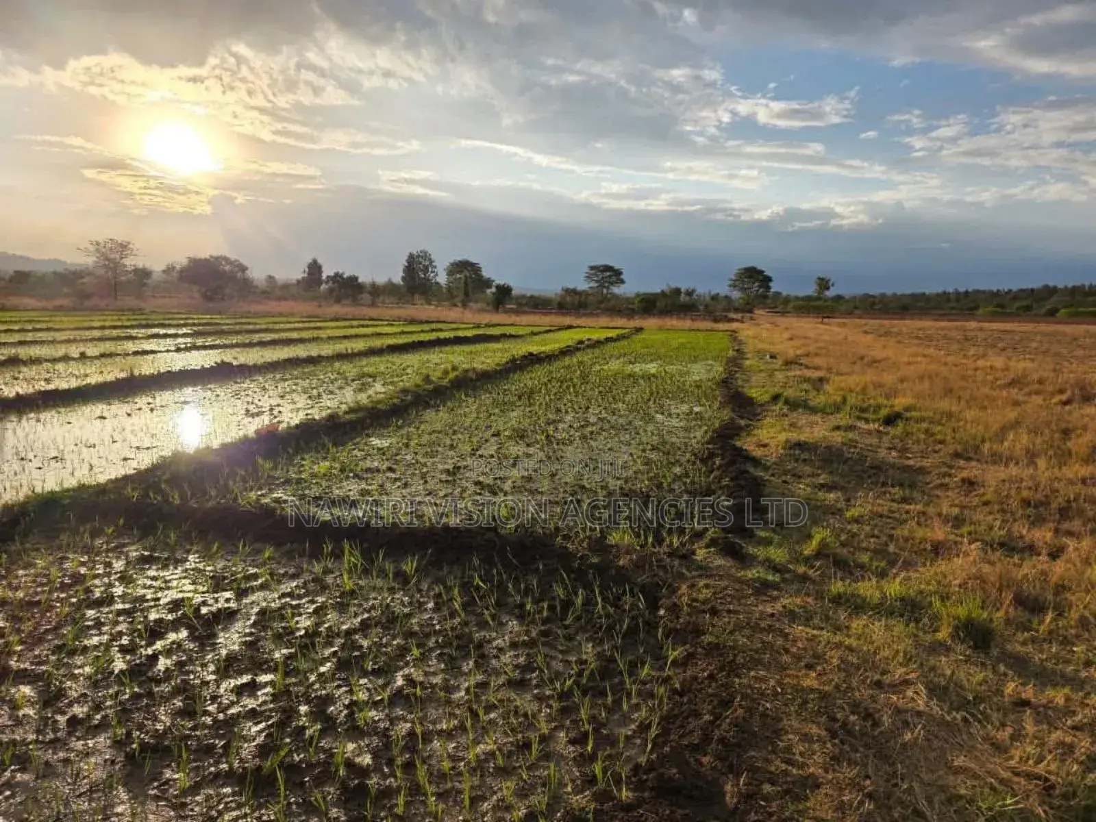 Land for Sale 6 Acres Muranga in Township G