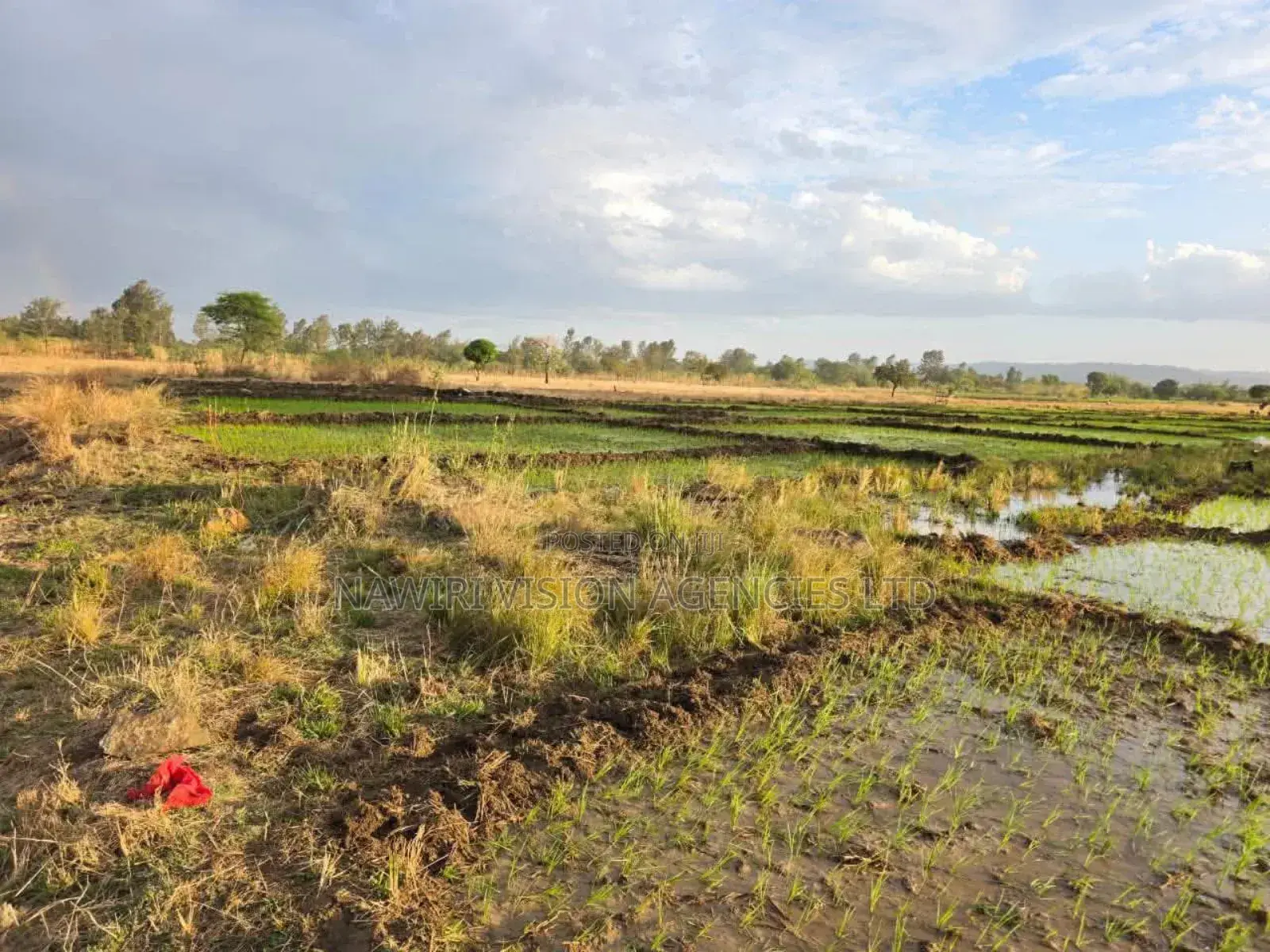 Land for Sale 6 Acres Muranga in Township G