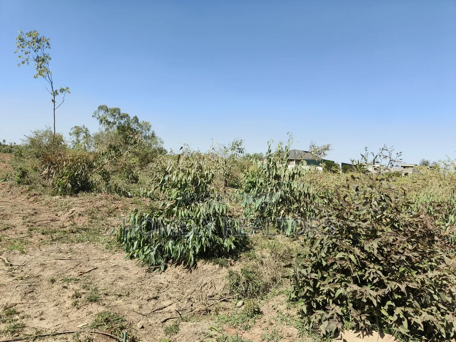 Mixed Use Quarter Acre Plot for Sale in Ongata Rongai Near Nazarene in Maasai Lodge