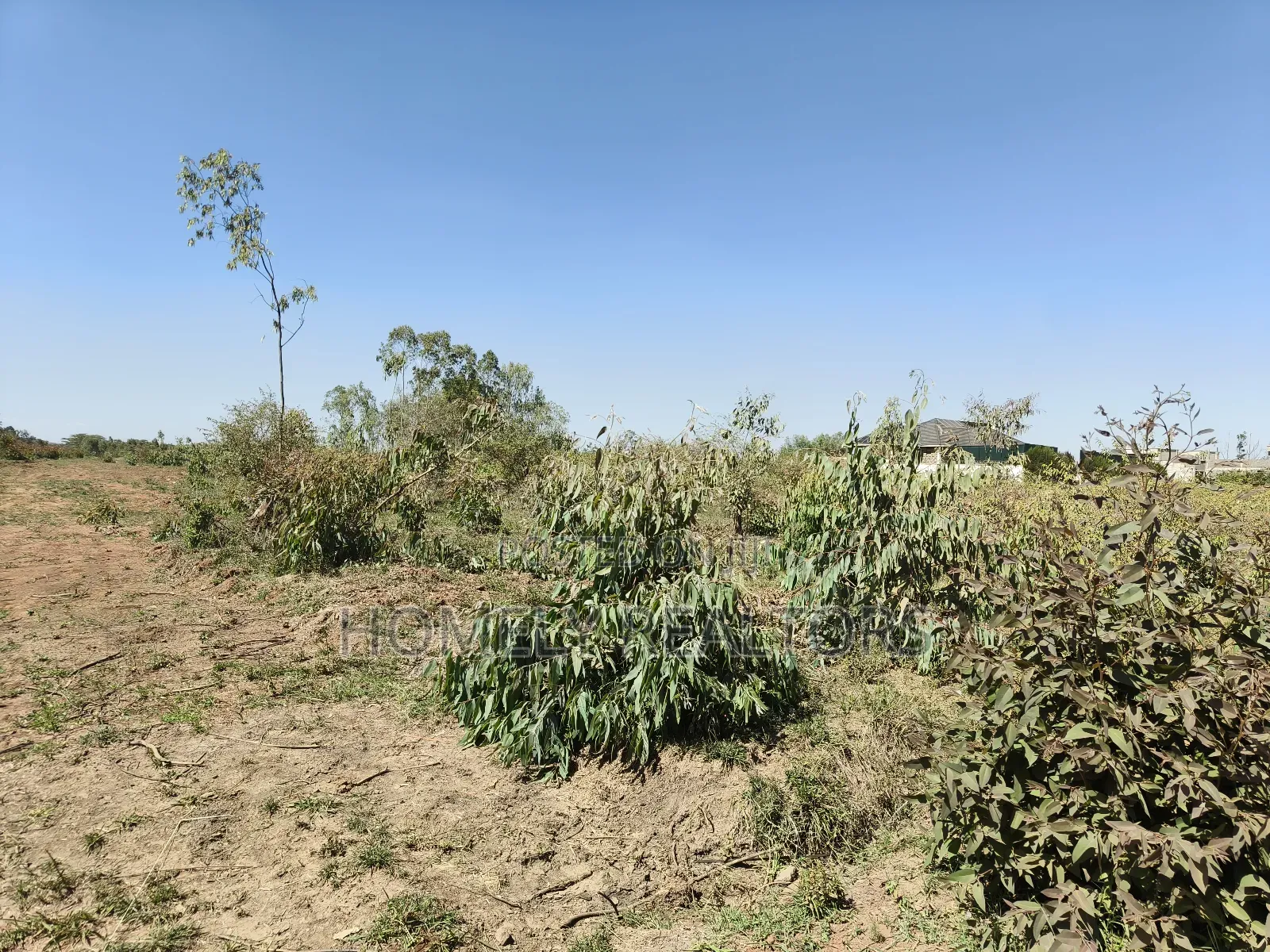 Mixed Use Quarter Acre Plot for Sale in Ongata Rongai Near Nazarene in Maasai Lodge
