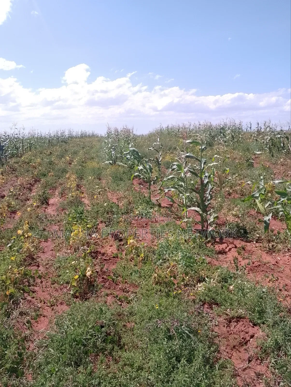 Konza 10 .08 Acres for Sale in Malili