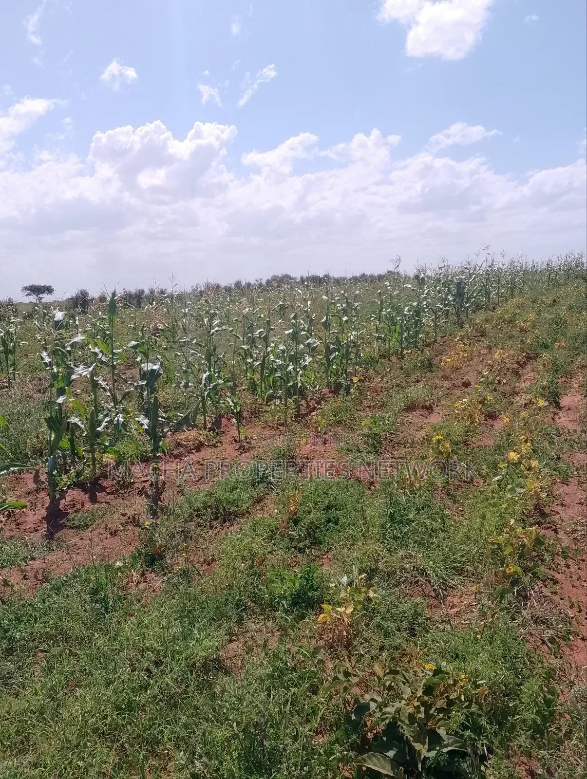Konza 10 .08 Acres for Sale in Malili
