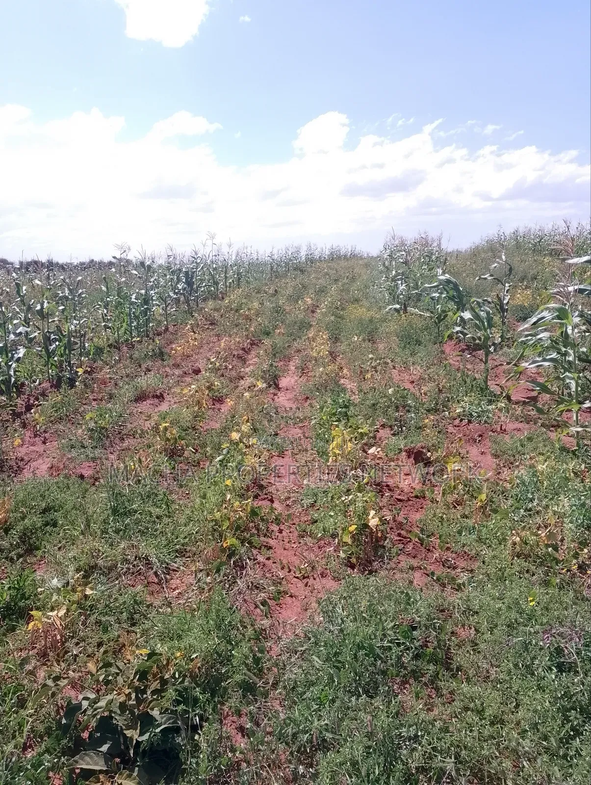 Konza 10 .08 Acres for Sale in Malili
