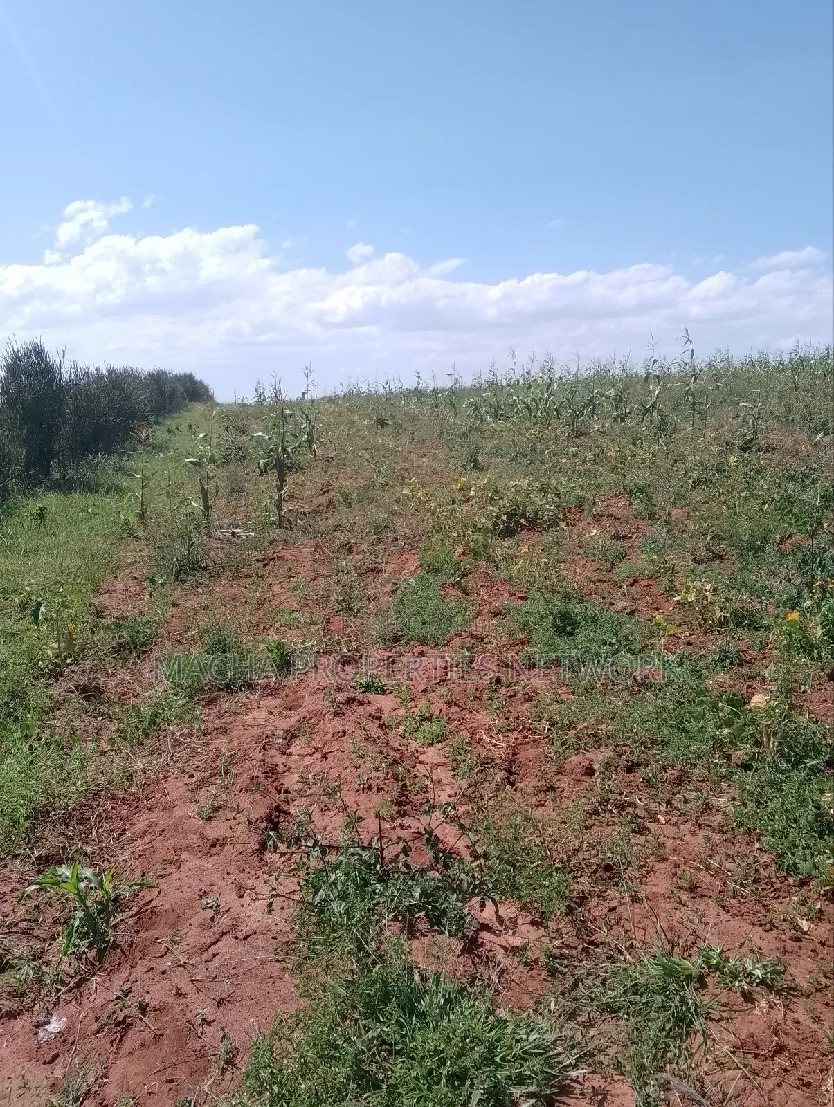 Konza 10 .08 Acres for Sale in Malili