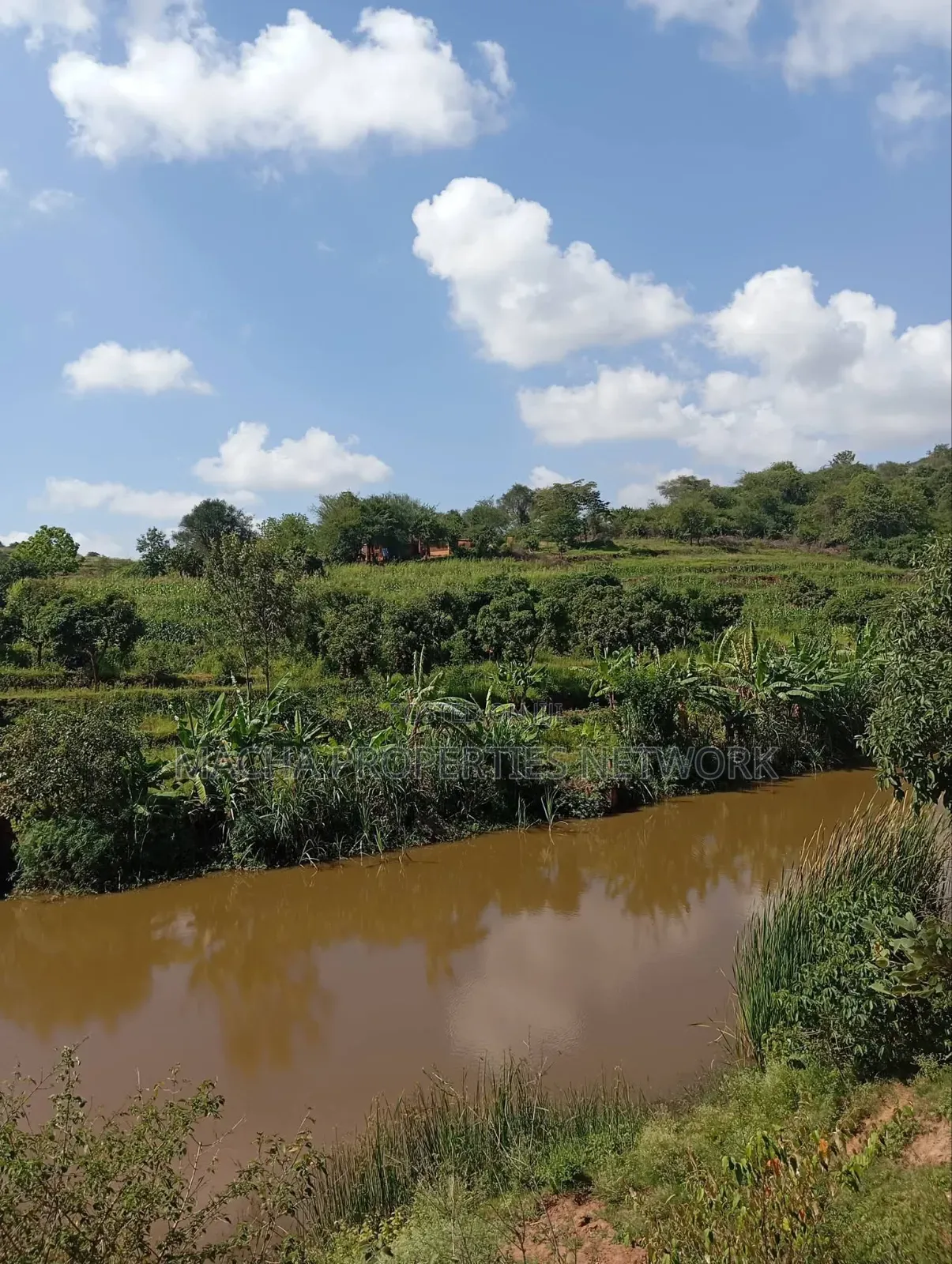 Kaani-MKS 11 Acres for Sale -Best for Farming. in Malili