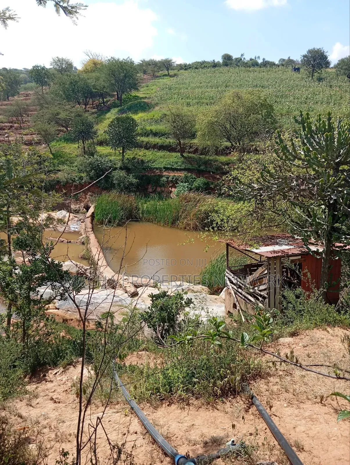 Kaani-MKS 11 Acres for Sale -Best for Farming. in Malili
