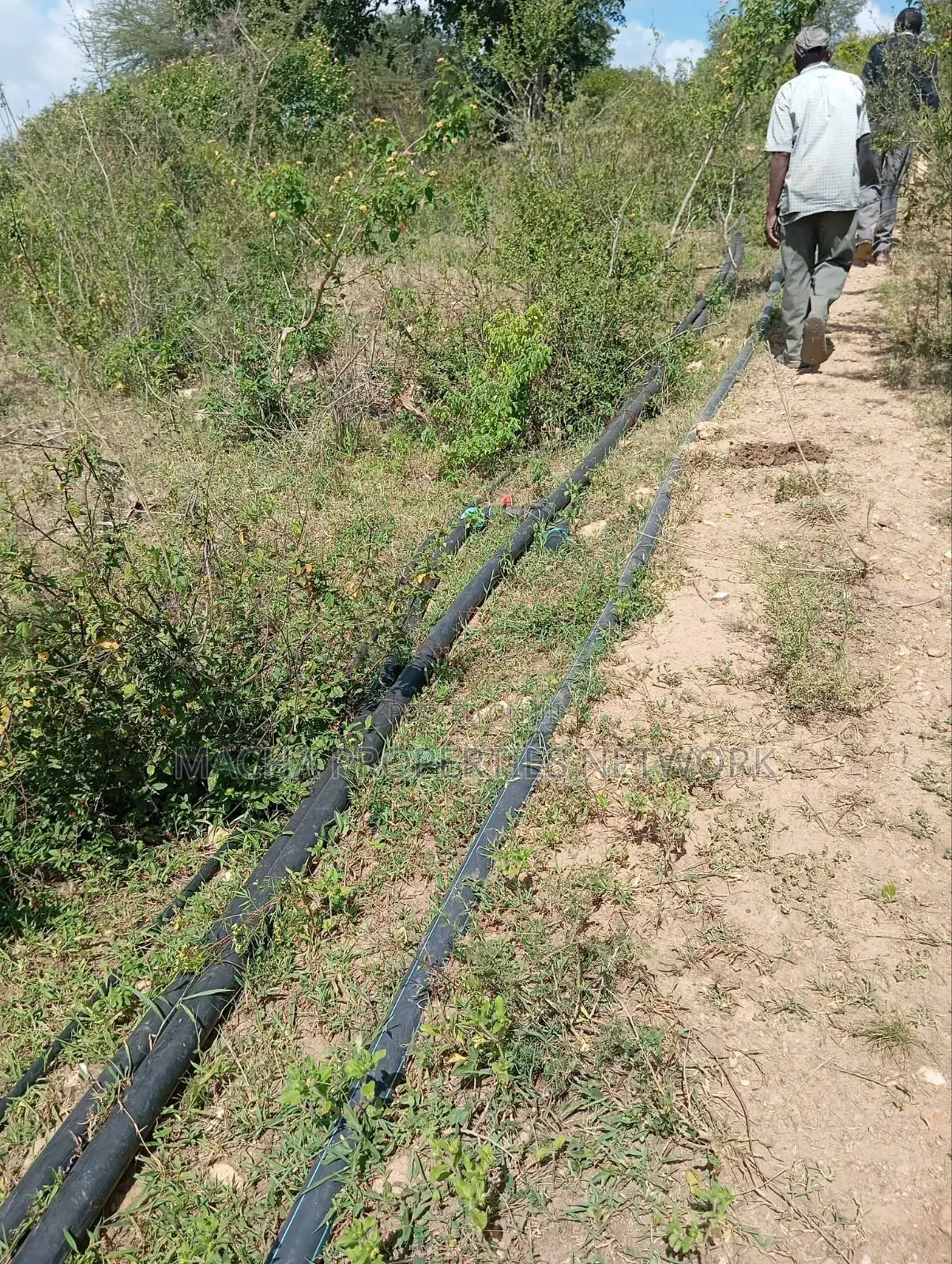 Kaani-MKS 11 Acres for Sale -Best for Farming. in Malili