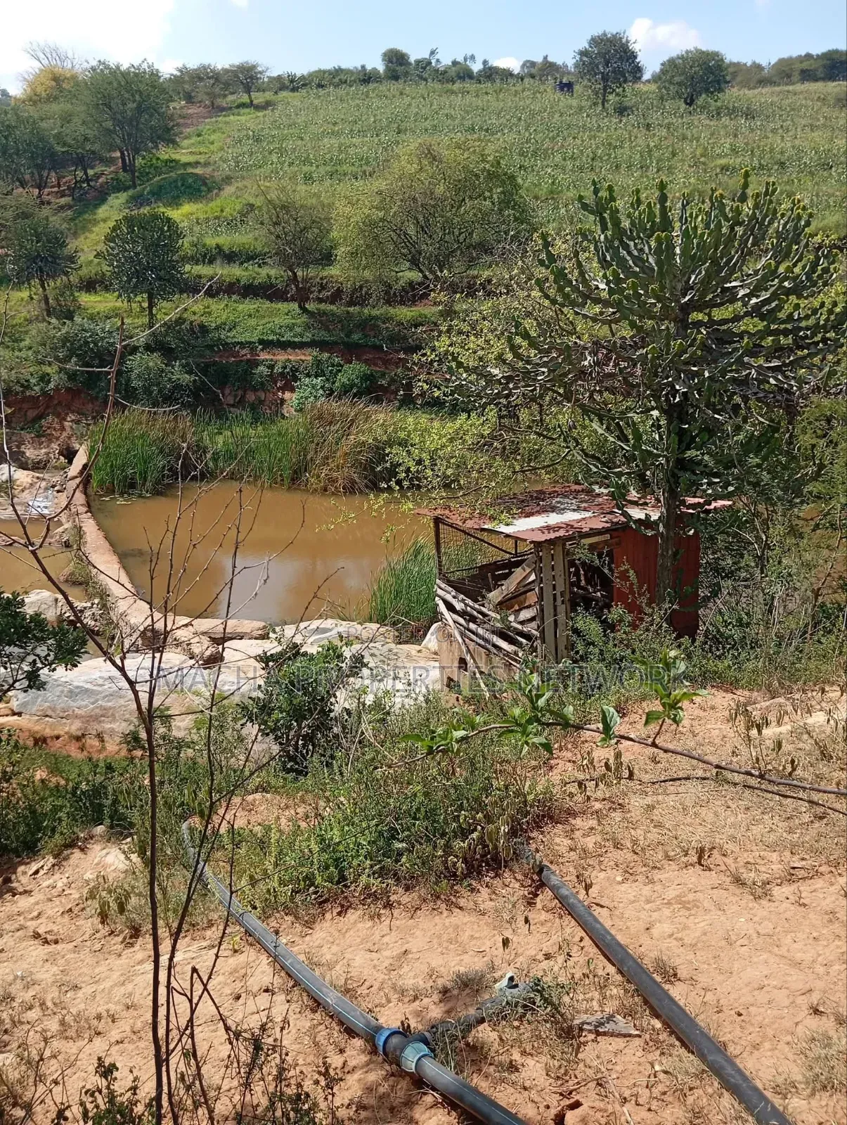 Kaani-MKS 11 Acres for Sale -Best for Farming. in Malili