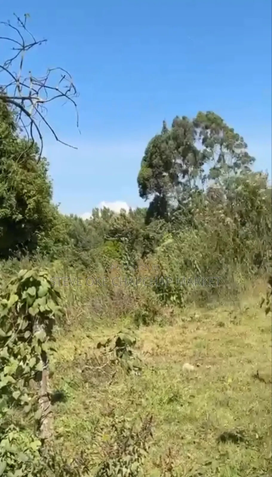 Land for Sale in Tilisi Kiambu County Opposite Naivas. Clean Title. in Limuru