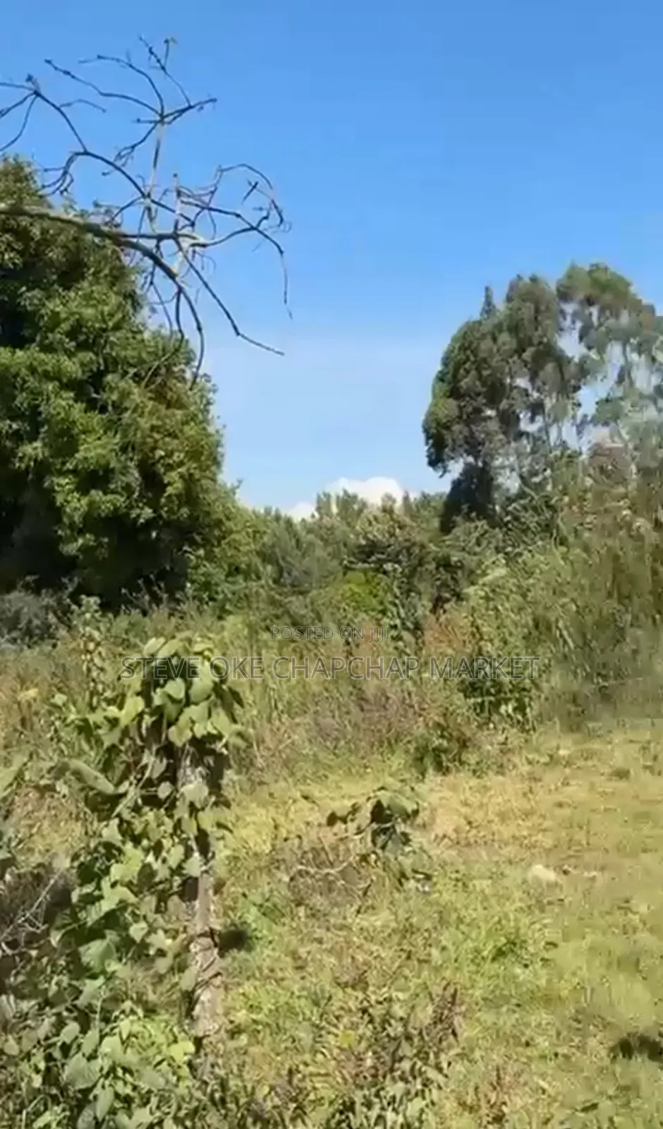 Land for Sale in Tilisi Kiambu County Opposite Naivas. Clean Title. in Limuru
