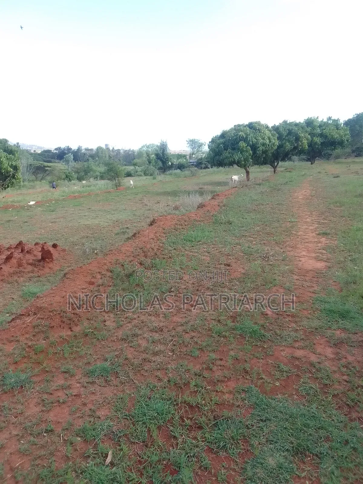 4 Acres Mua Kitanga at 5macre in Mua Hills