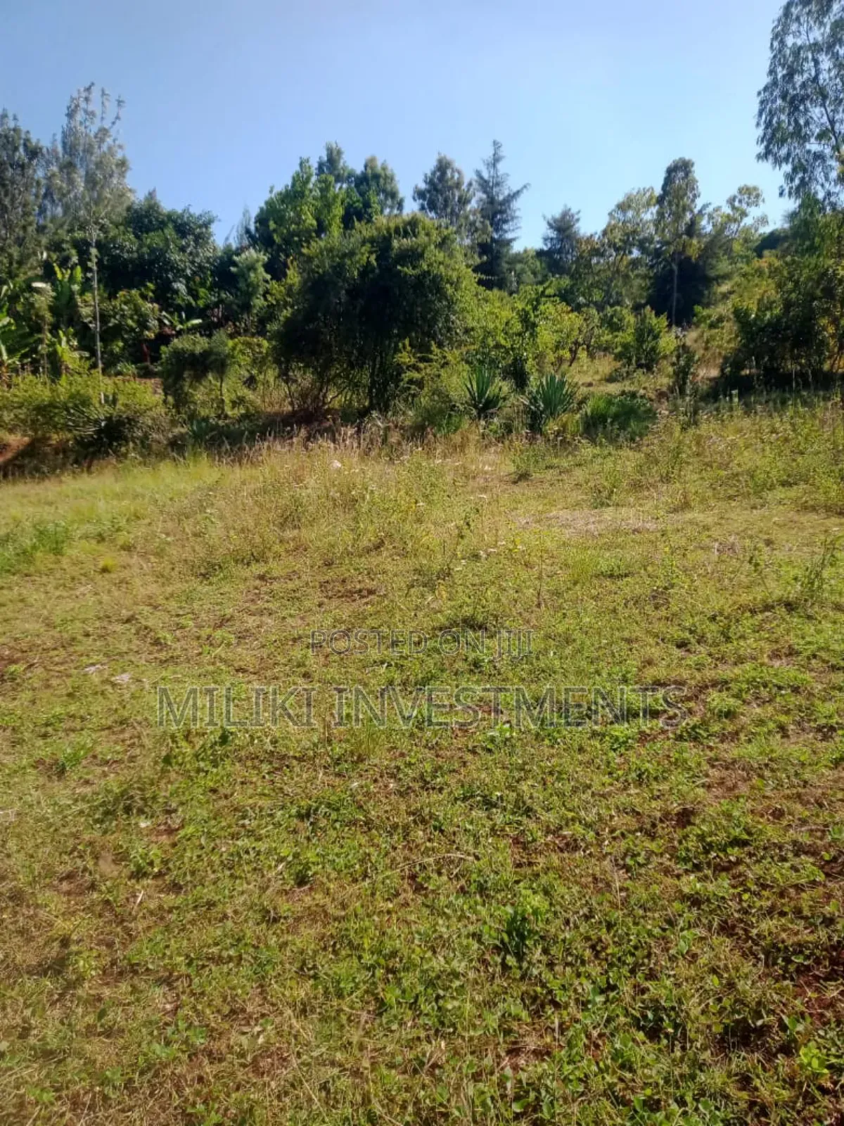 5.5 Acres on Sale at Kenol -Karugia in Kimorori/Wempa