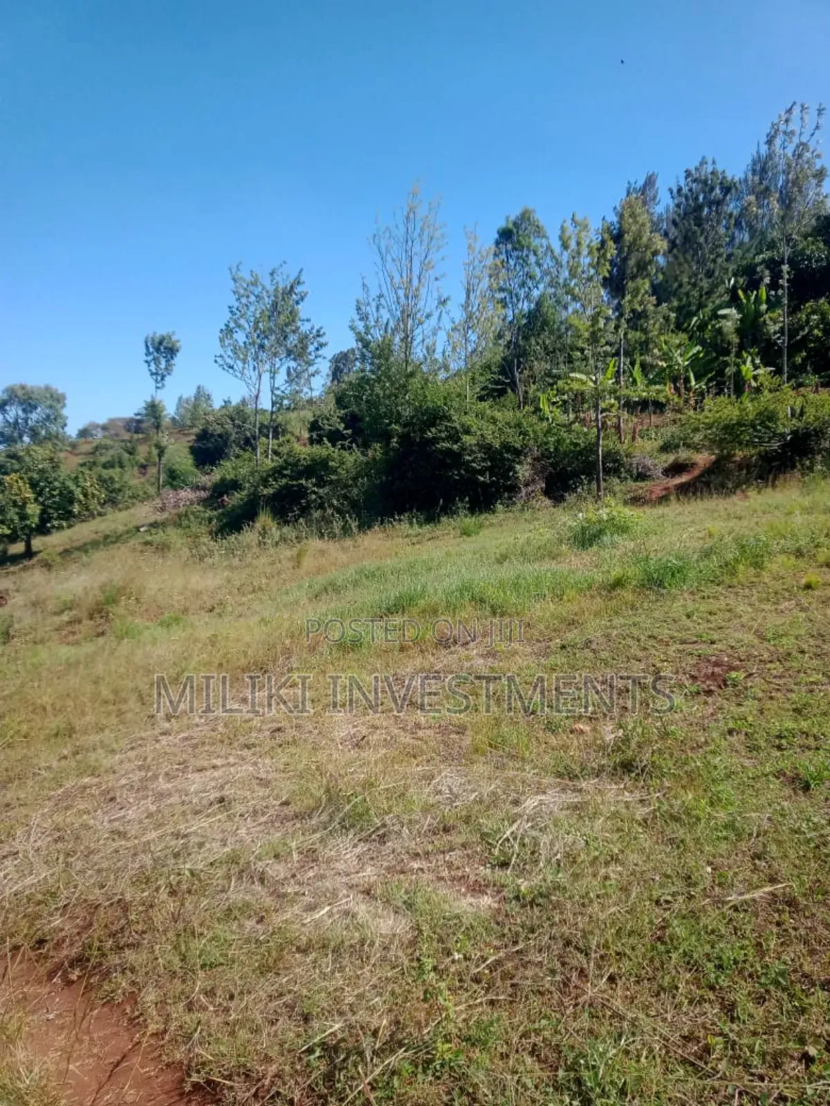 5.5 Acres on Sale at Kenol -Karugia in Kimorori/Wempa