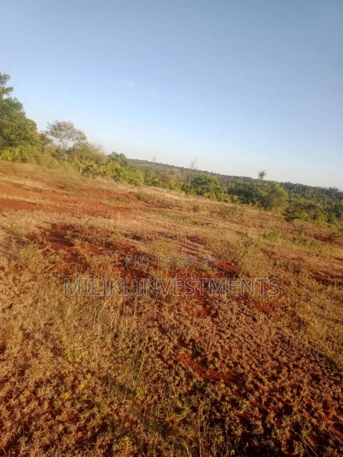 5.5 Acres on Sale at Kenol -Karugia in Kimorori/Wempa