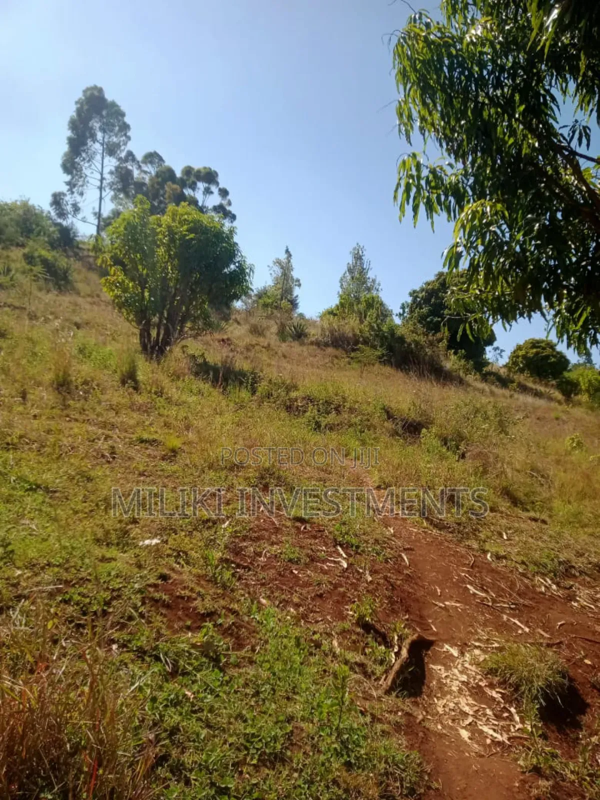 5.5 Acres on Sale at Kenol -Karugia in Kimorori/Wempa