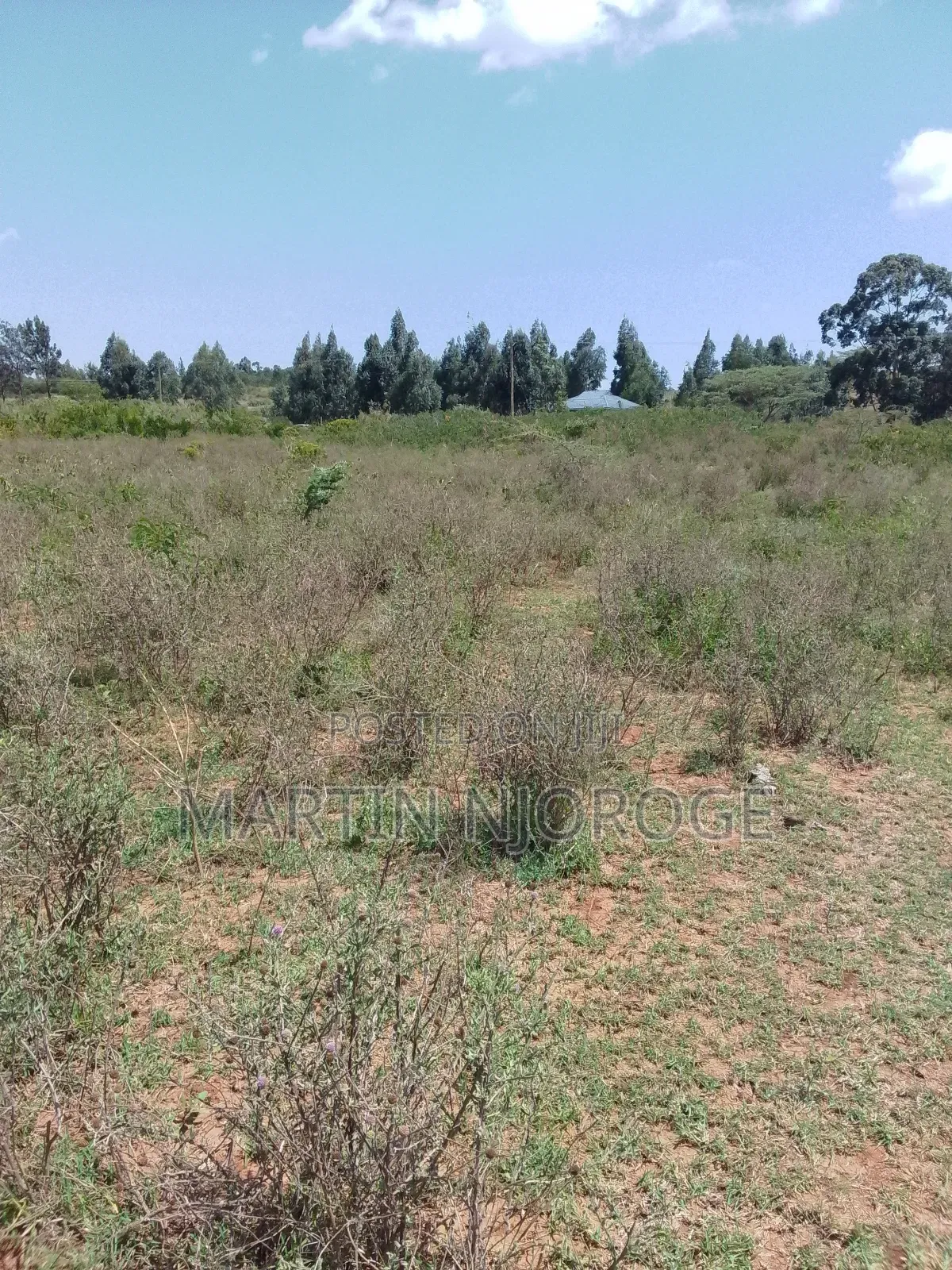 5 Acres Nasu in Nachu
