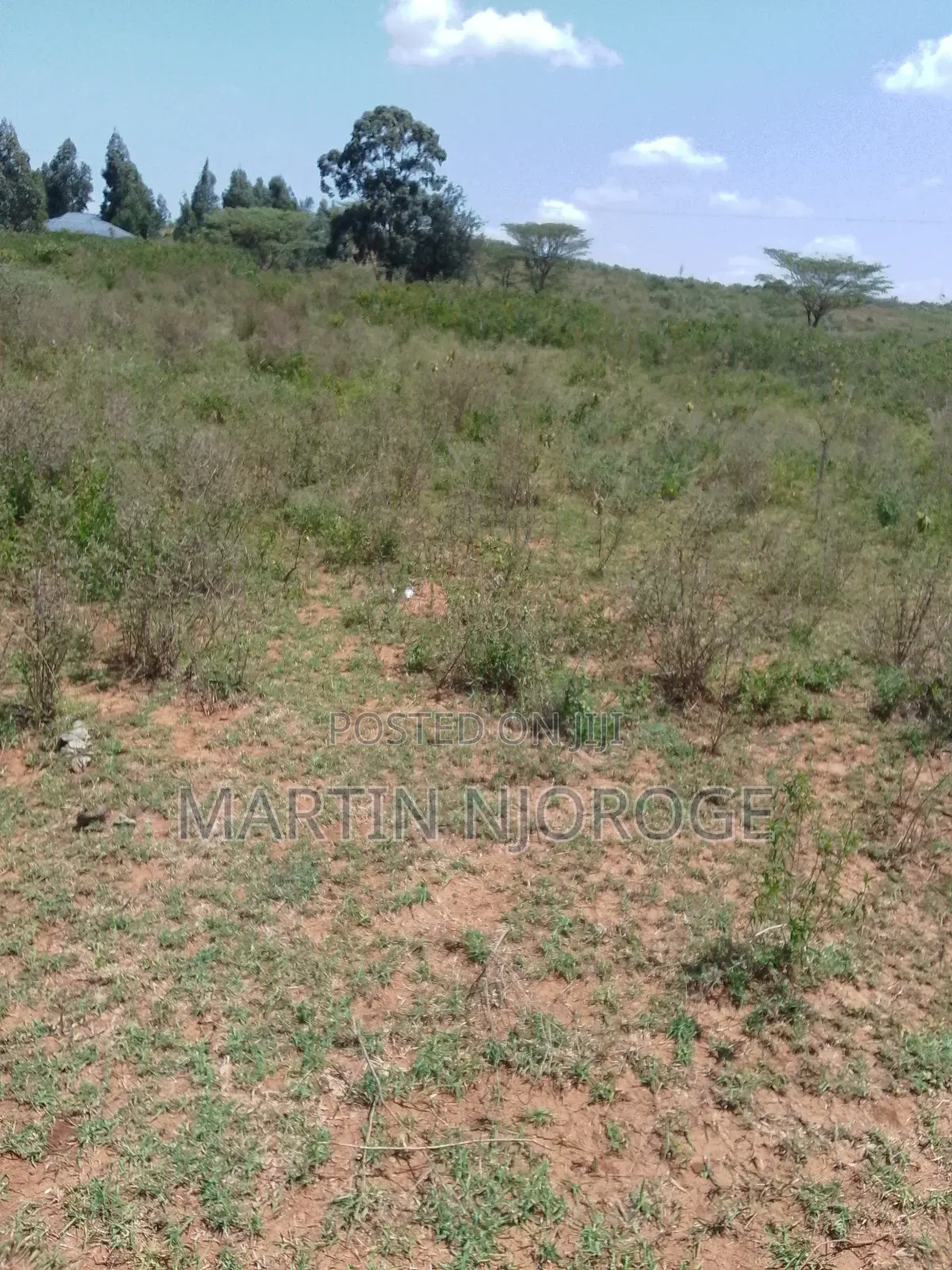 5 Acres Nasu in Nachu