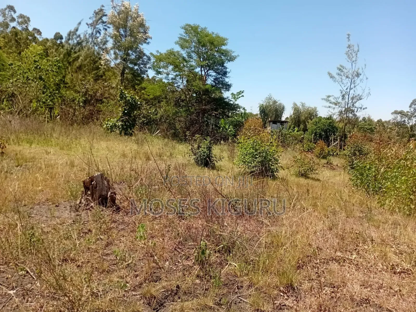 Makuyu 50x100 Plos for Sale. in Makuyu