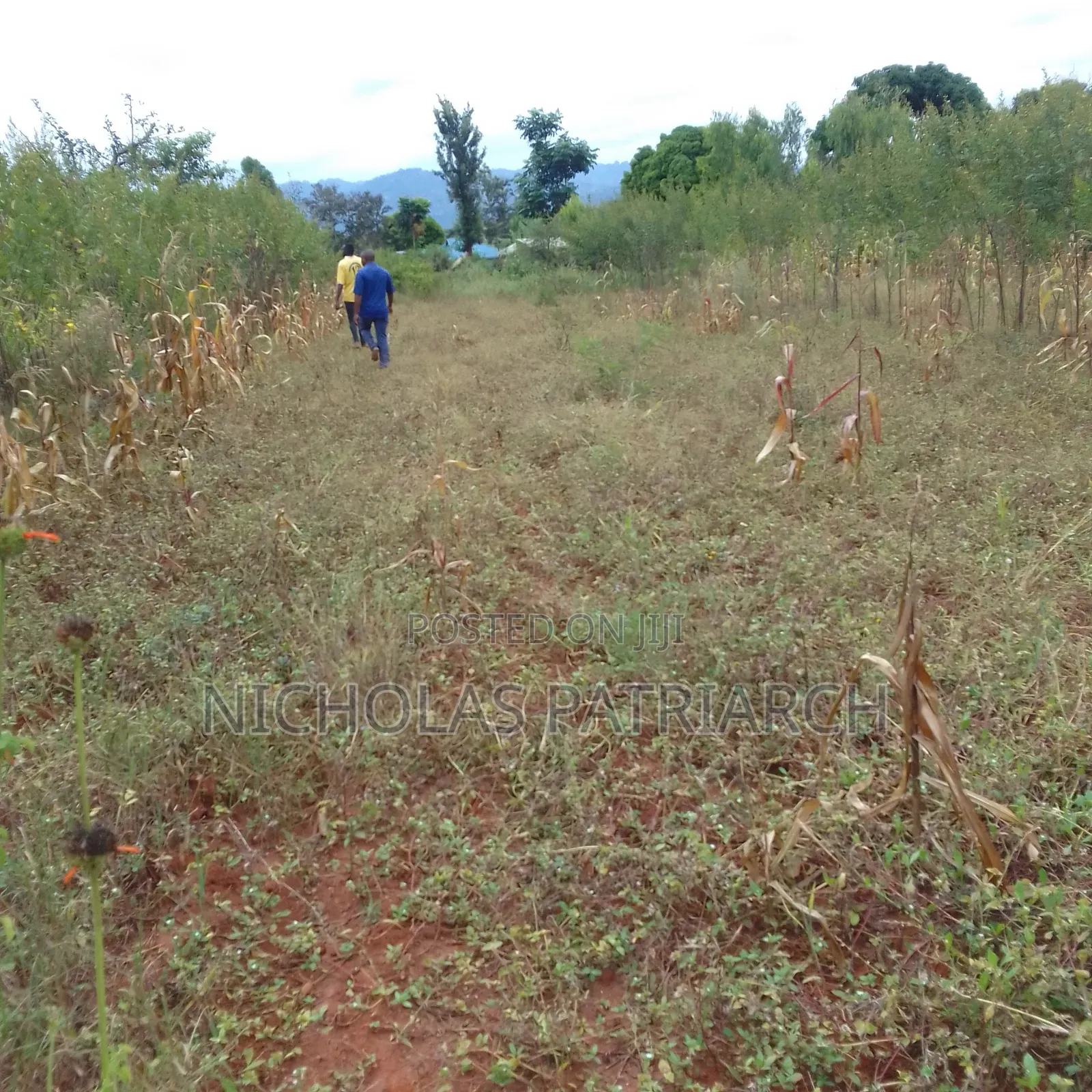 5 Acres Matuu-Ekalakala Touching River Thika Selling at Per Acre in Ekalakala