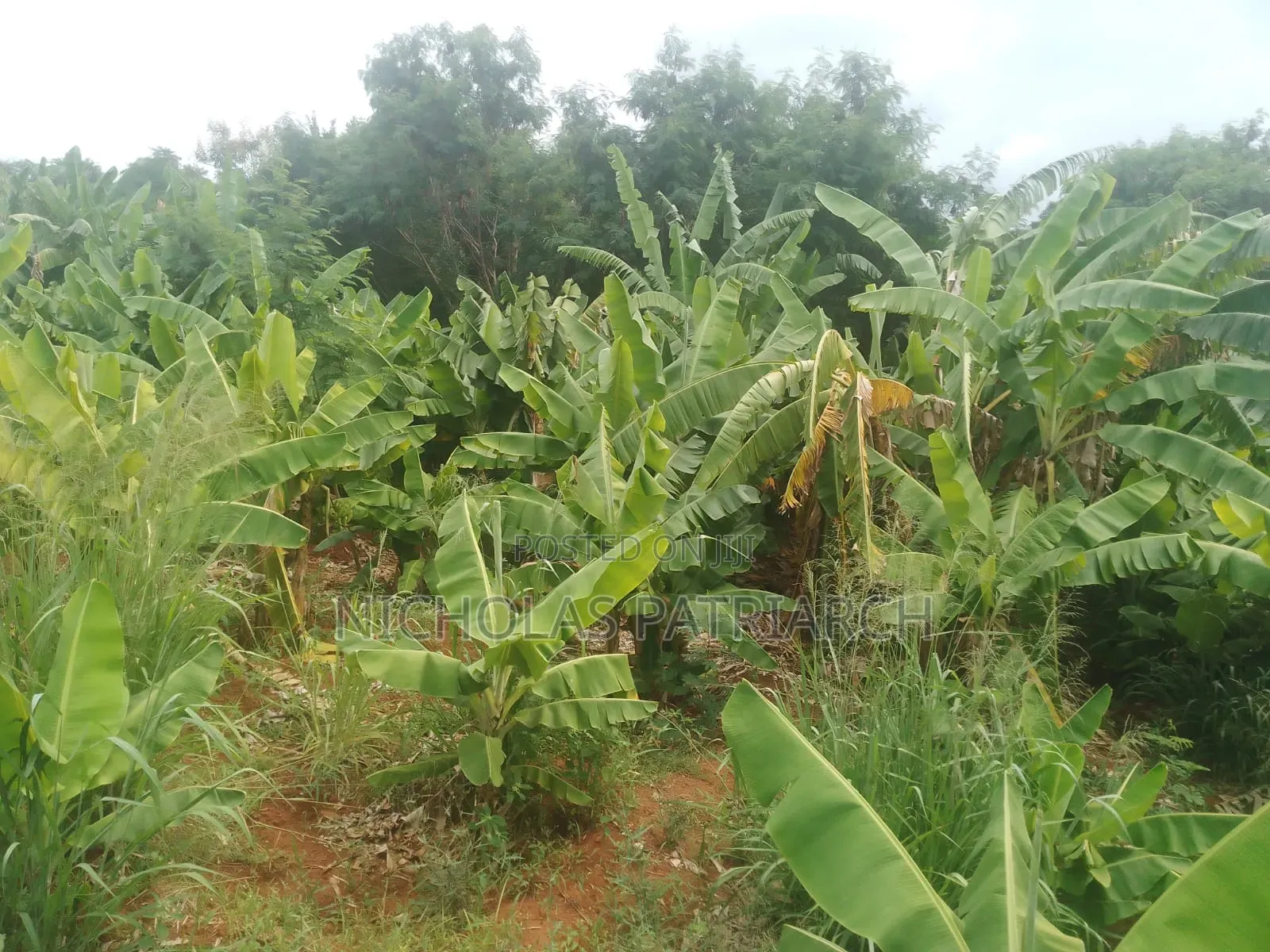 20 Acres Wamunyu Machakos - Touching River Athi Selling at 1m.Per Acre in Wamunyu