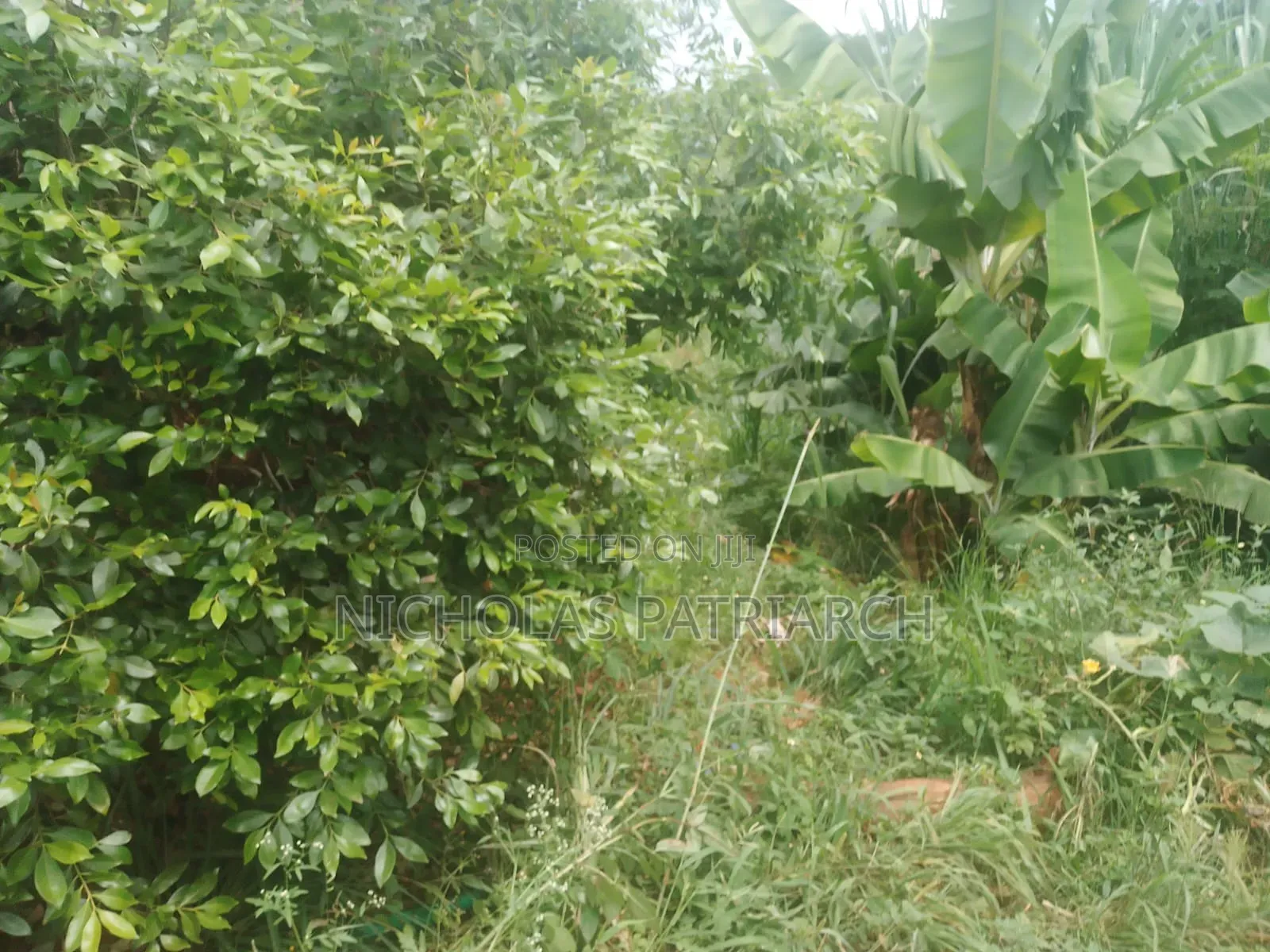 20 Acres Wamunyu Machakos - Touching River Athi Selling at 1m.Per Acre in Wamunyu
