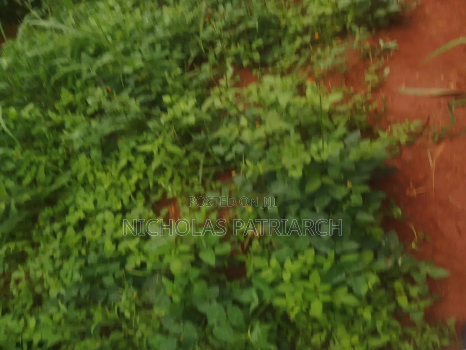 20 Acres Wamunyu Machakos - Touching River Athi Selling at 1m.Per Acre in Wamunyu