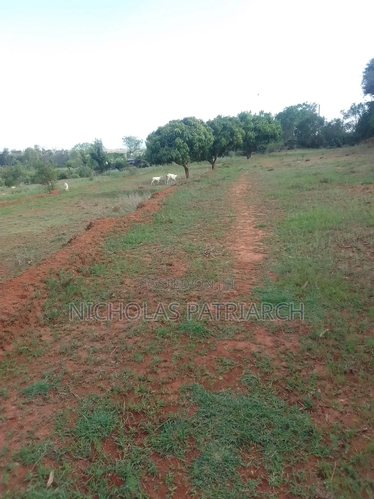 2 Acres Machakos-Katelembo Selling at 6.5m.Per Acre. in Junction