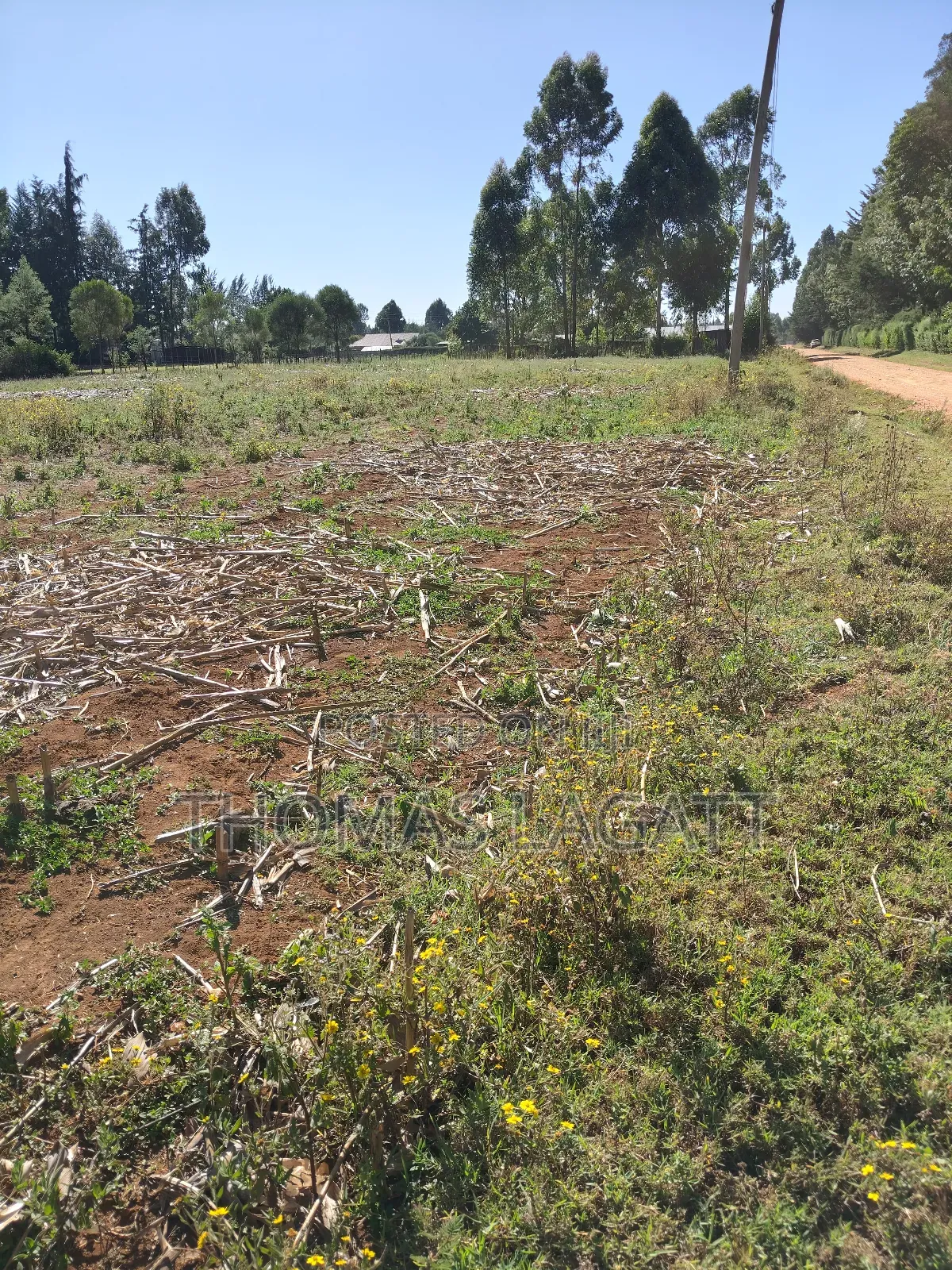 Eldoret Annex Bethel 1⁄4 Acre Plots in Eldoret CBD