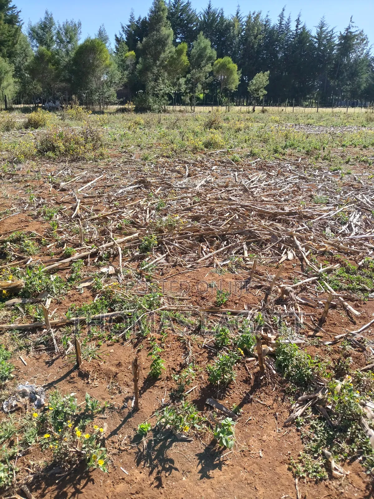 Eldoret Annex Bethel 1⁄4 Acre Plots in Eldoret CBD