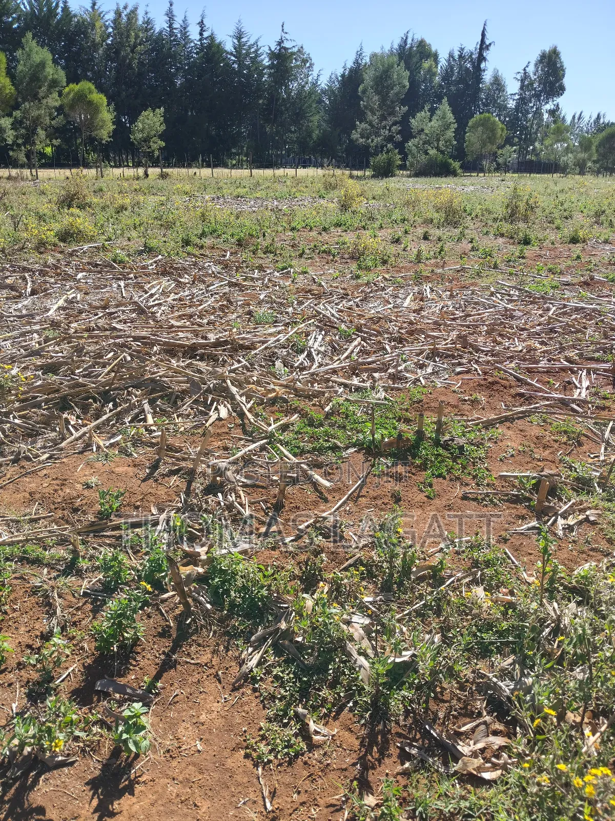 Eldoret Annex Bethel 1⁄4 Acre Plots in Eldoret CBD