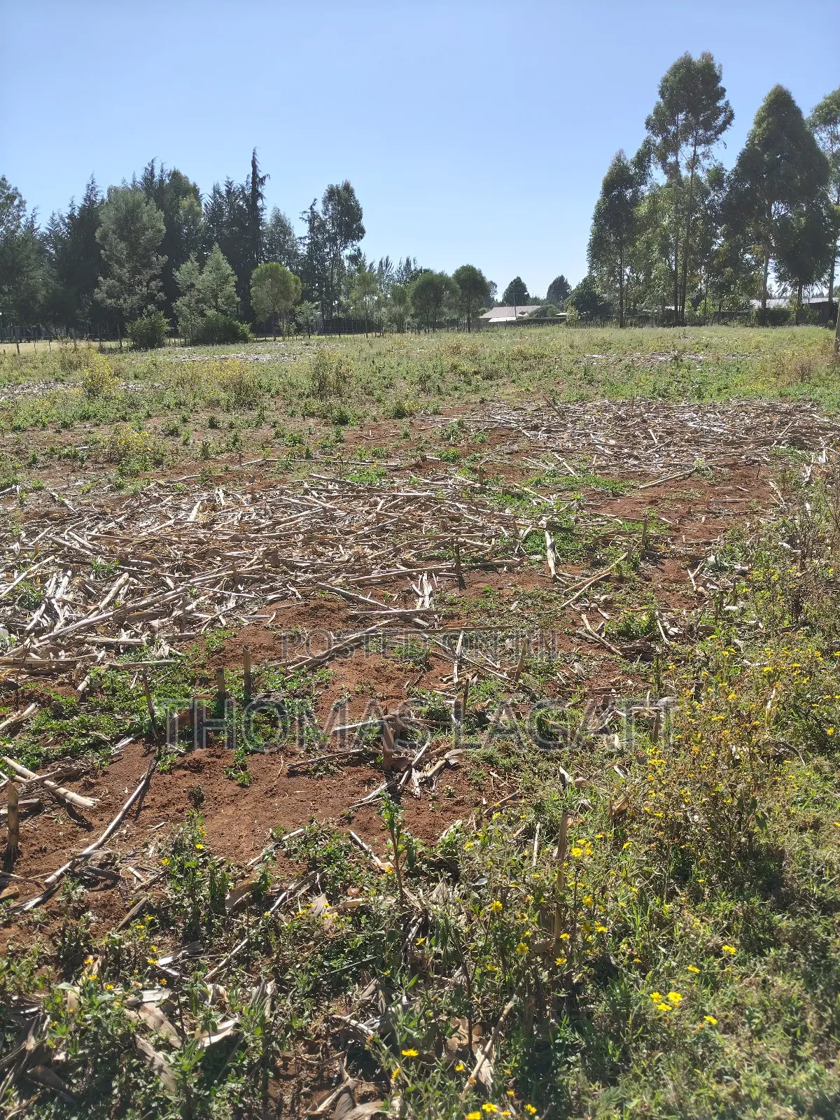 Eldoret Annex Bethel 1⁄4 Acre Plots in Eldoret CBD