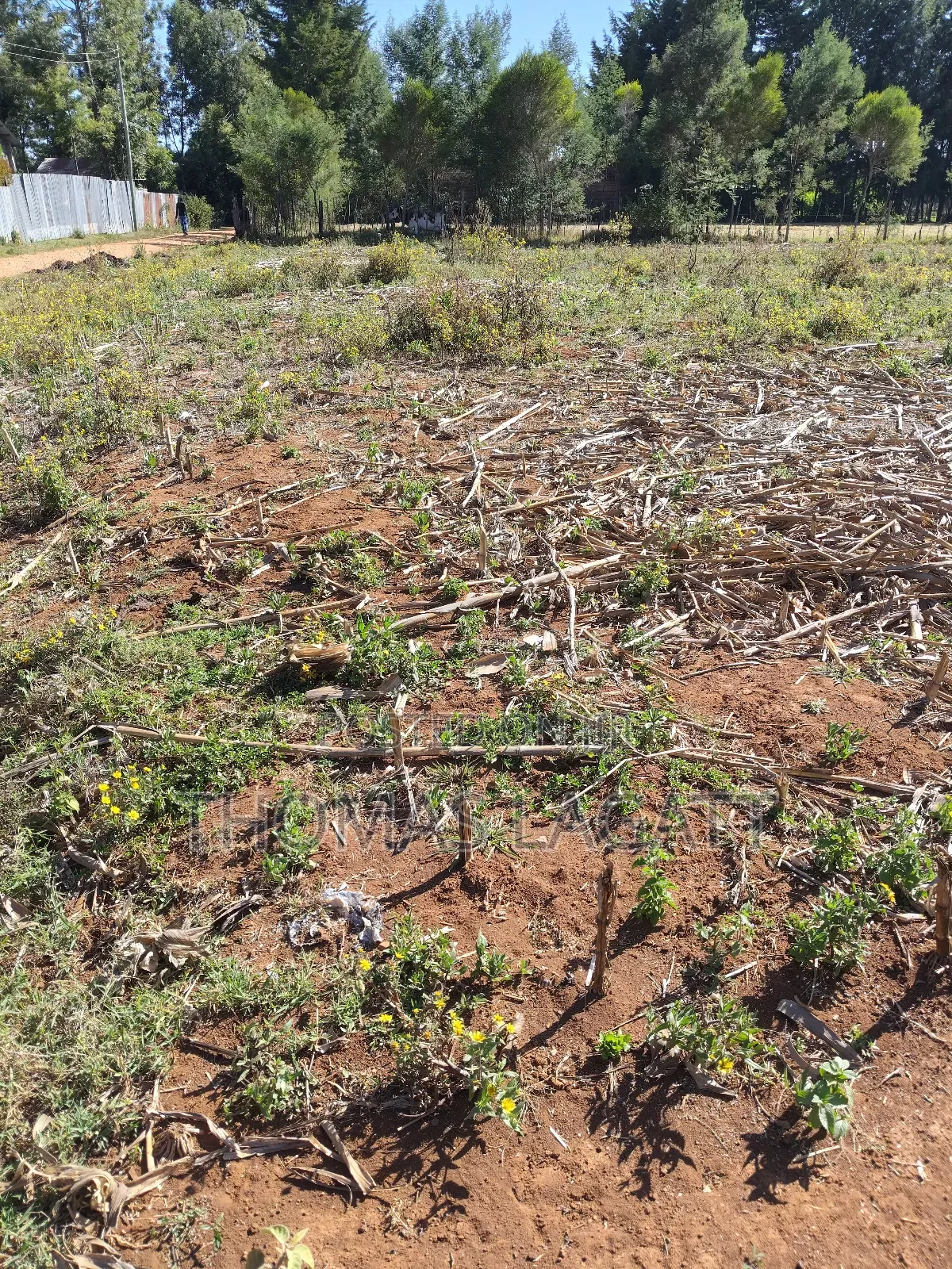 Eldoret Annex Bethel 1⁄4 Acre Plots in Eldoret CBD