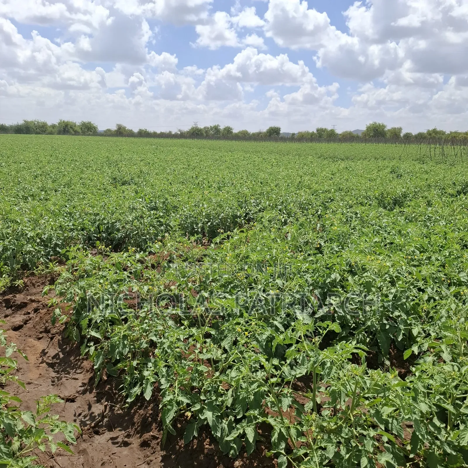 40 Acre Farm at Kiboko Mombasa Road Acre in Makindu