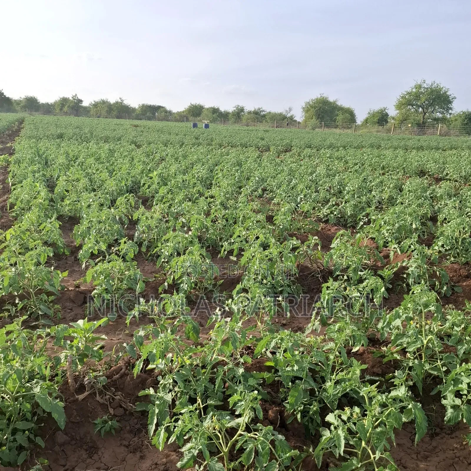 40 Acre Farm at Kiboko Mombasa Road Acre in Makindu