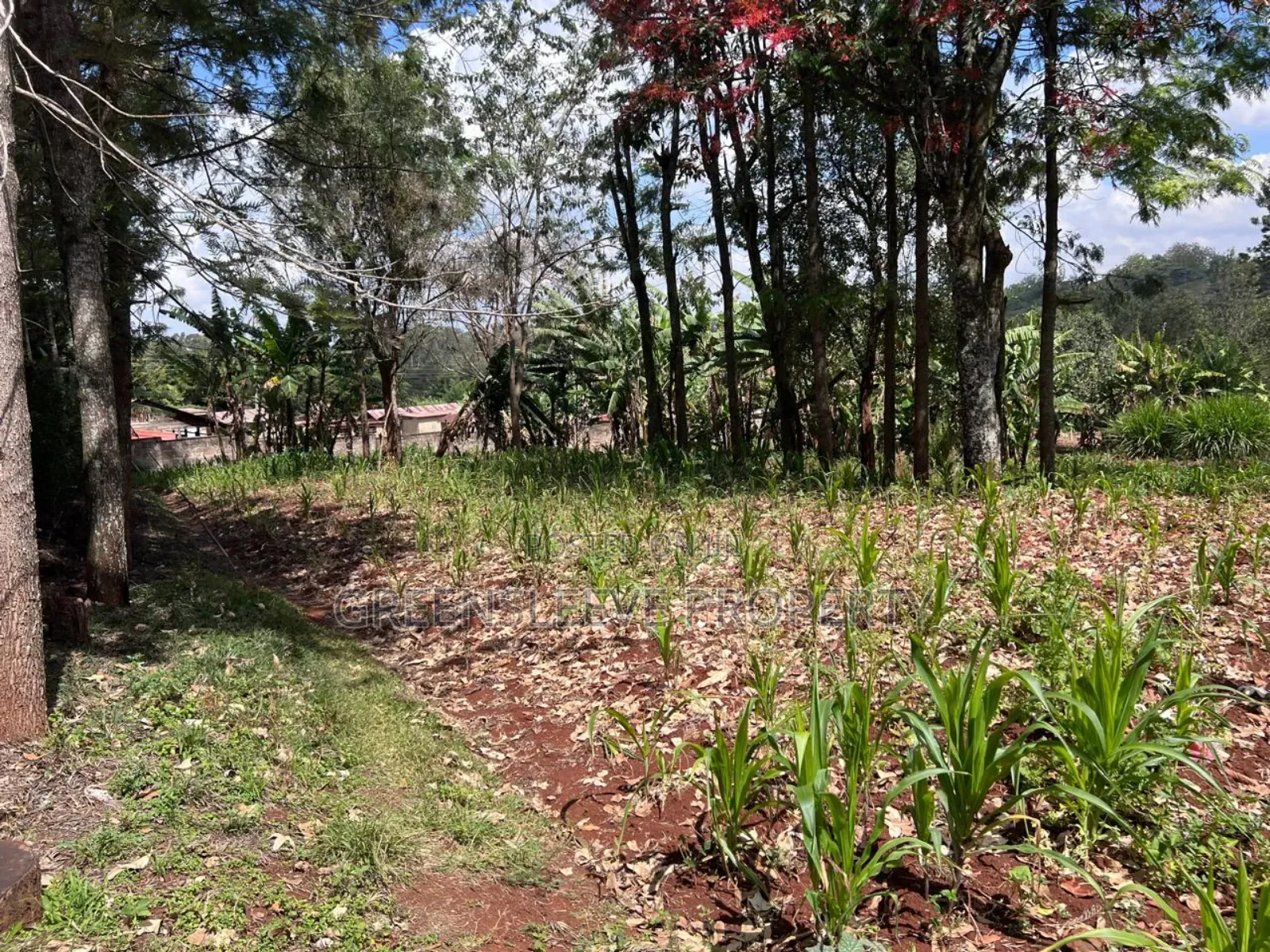 Land for Sale in Karen