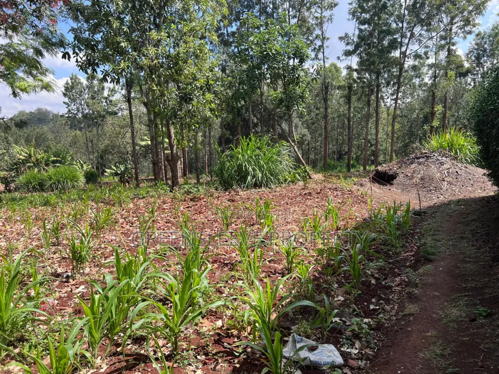 Land for Sale in Karen