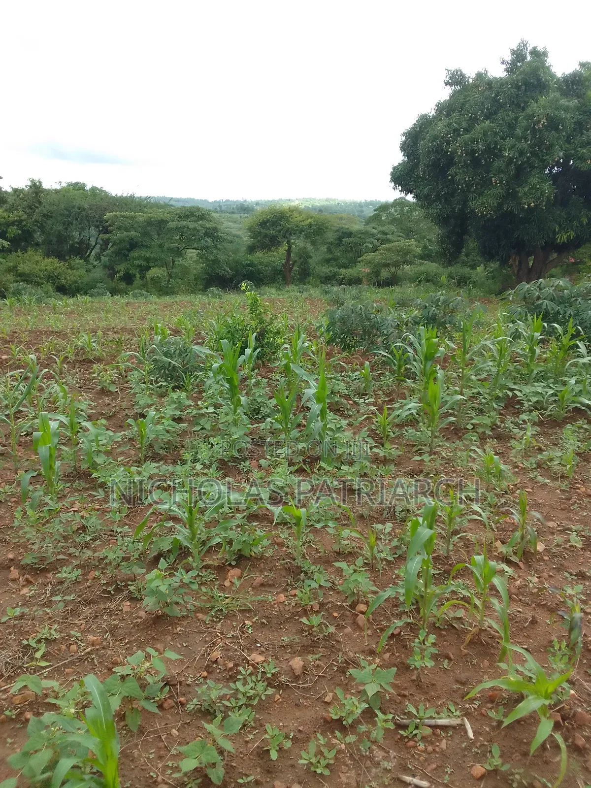 3 Acres Masii -Machakoscountyselling at Per Acre in Masii