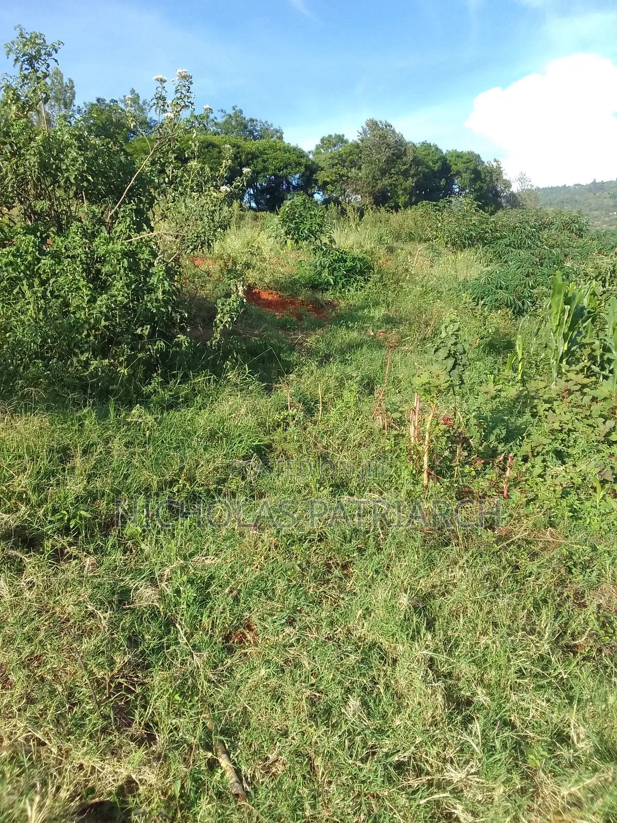 3 Acres Masii -Machakoscountyselling at Per Acre in Masii