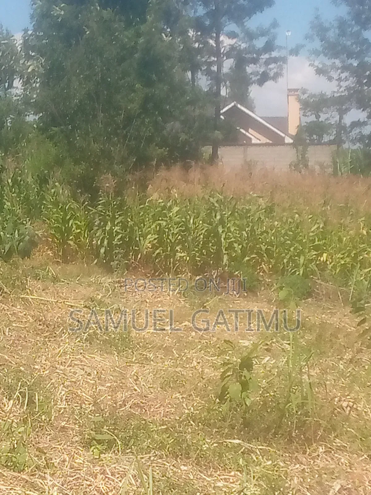 Plot for Sale in Turitu