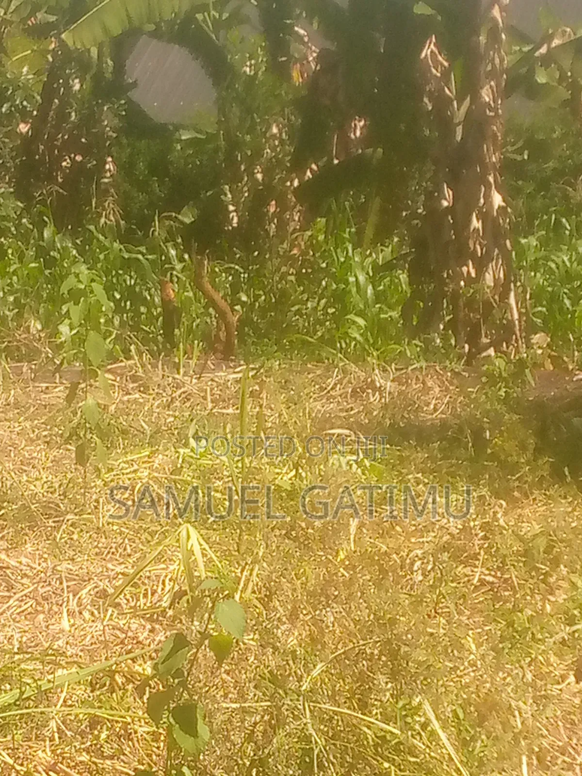 Plot for Sale in Turitu