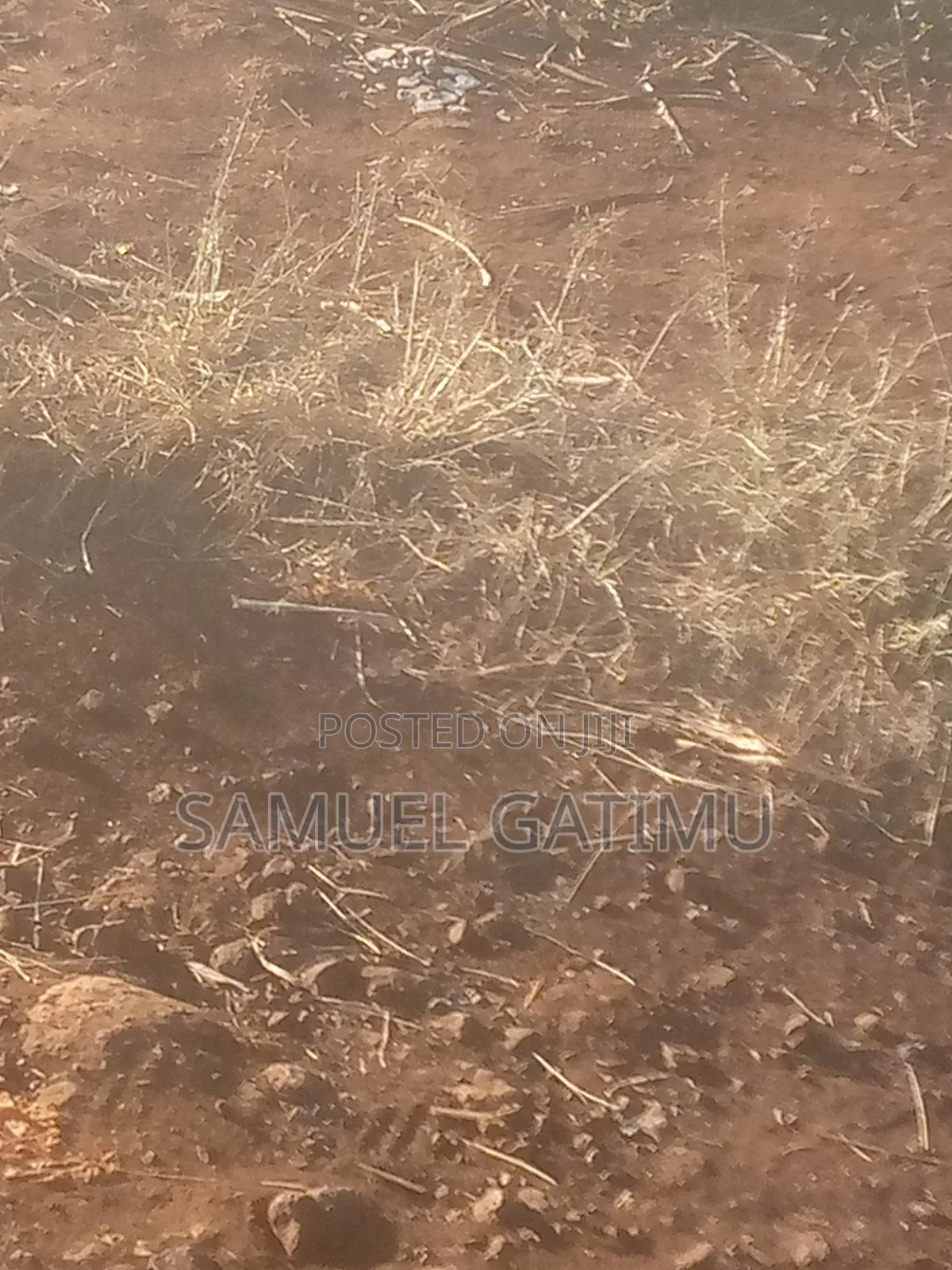Plot for Sale in Turitu