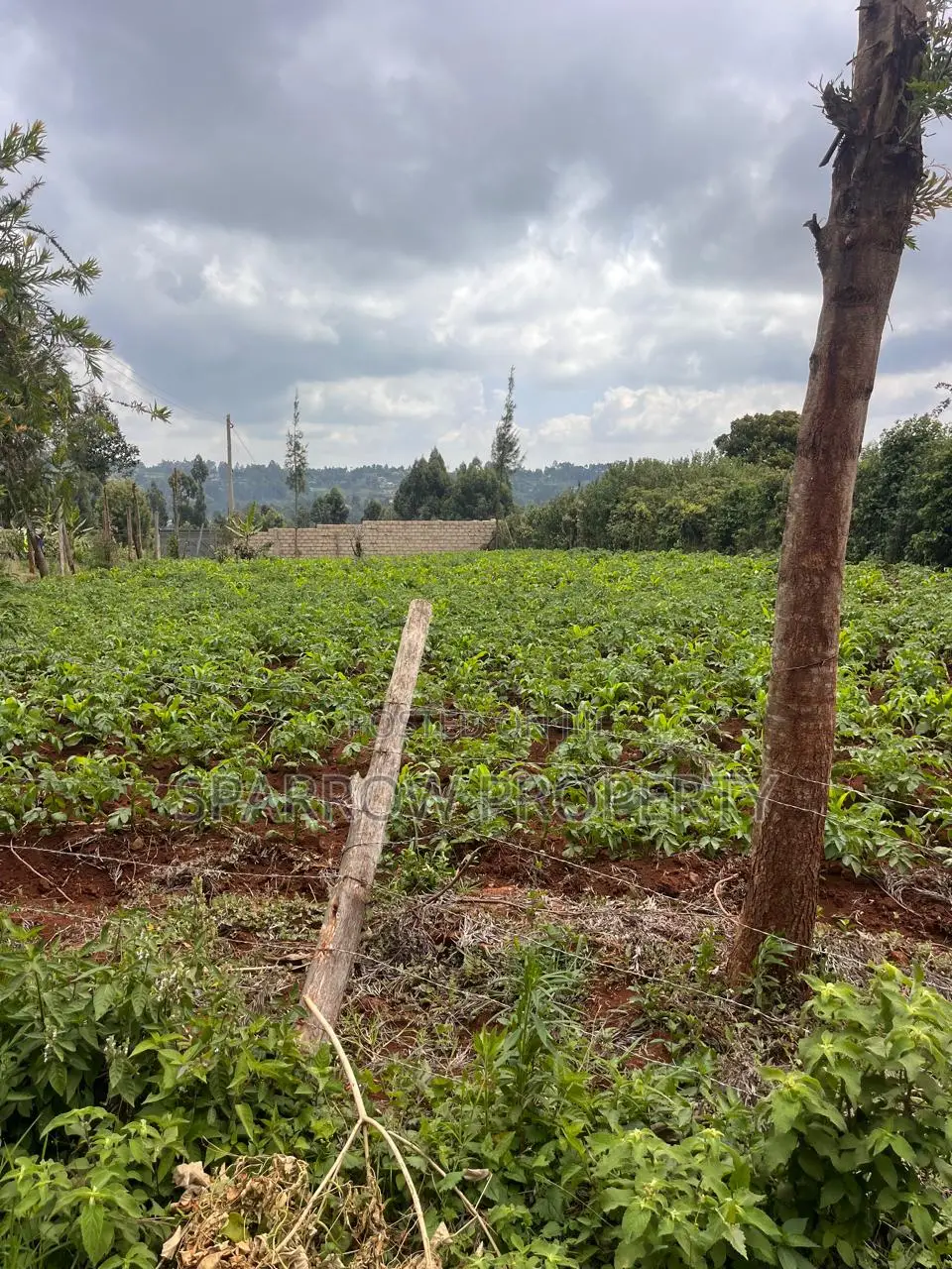 Kikuyu Plot for Sale in Muguga