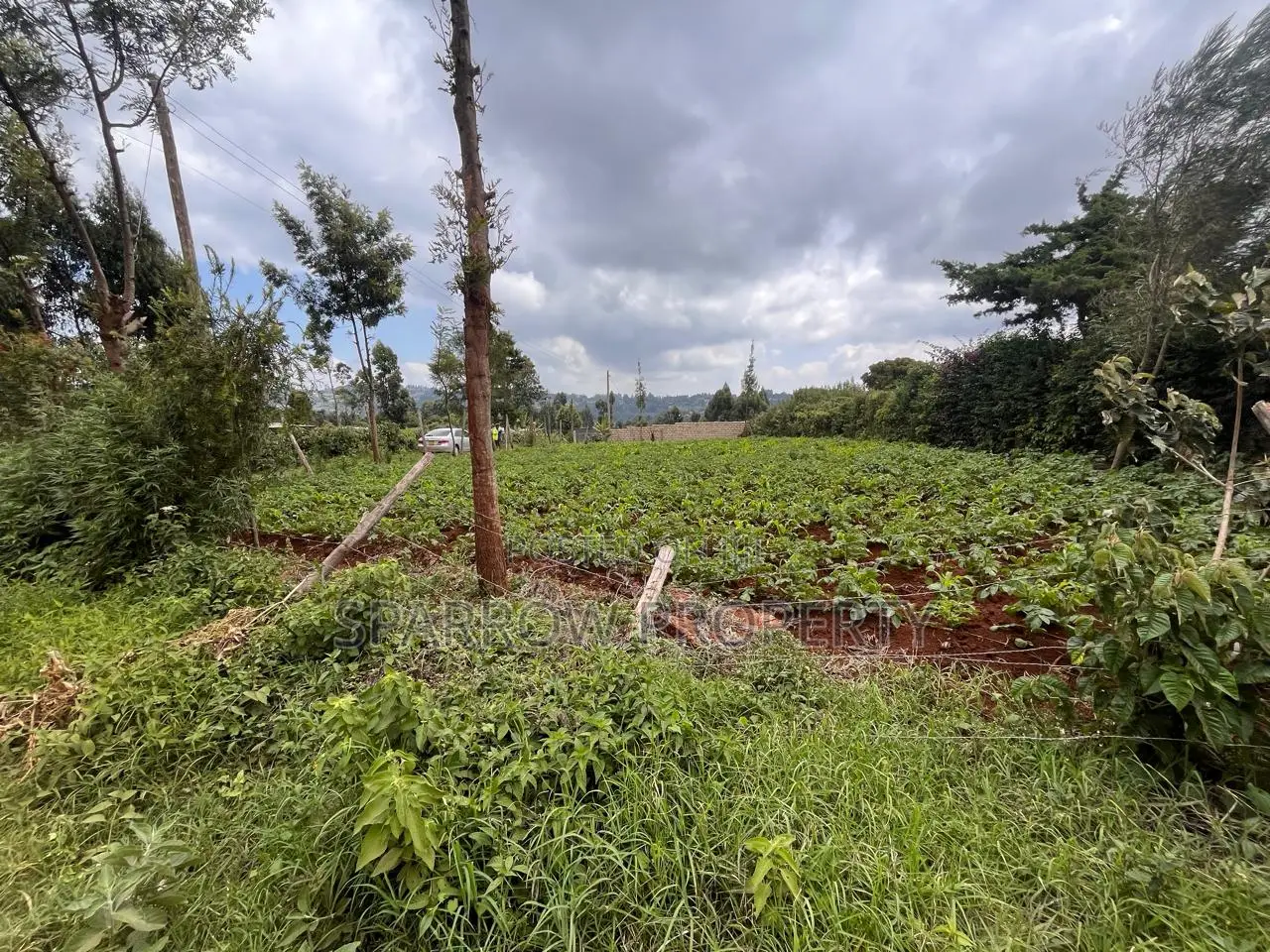 Kikuyu Plot for Sale in Muguga