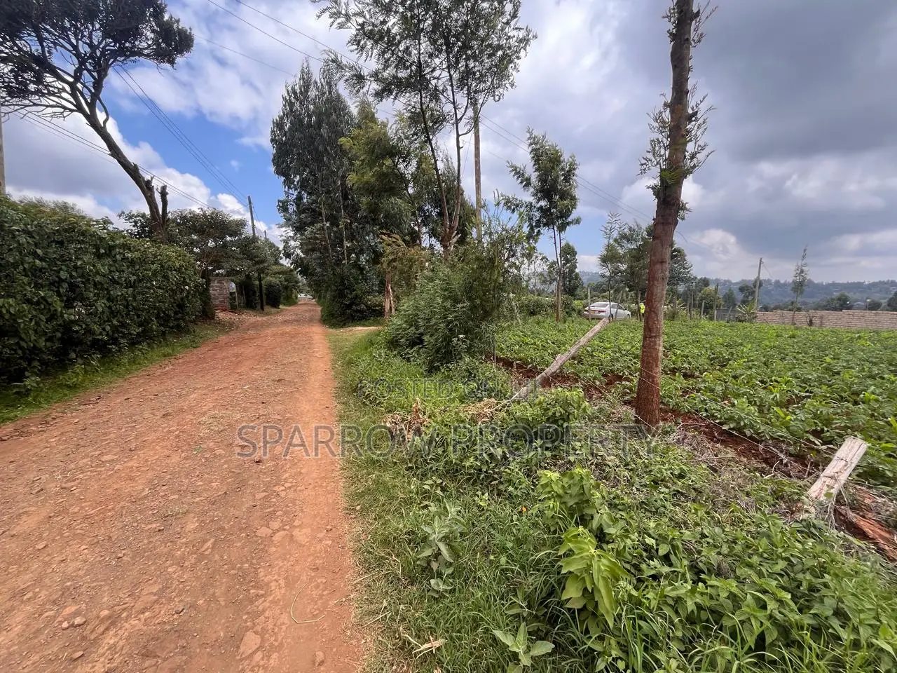 Kikuyu Plot for Sale in Muguga