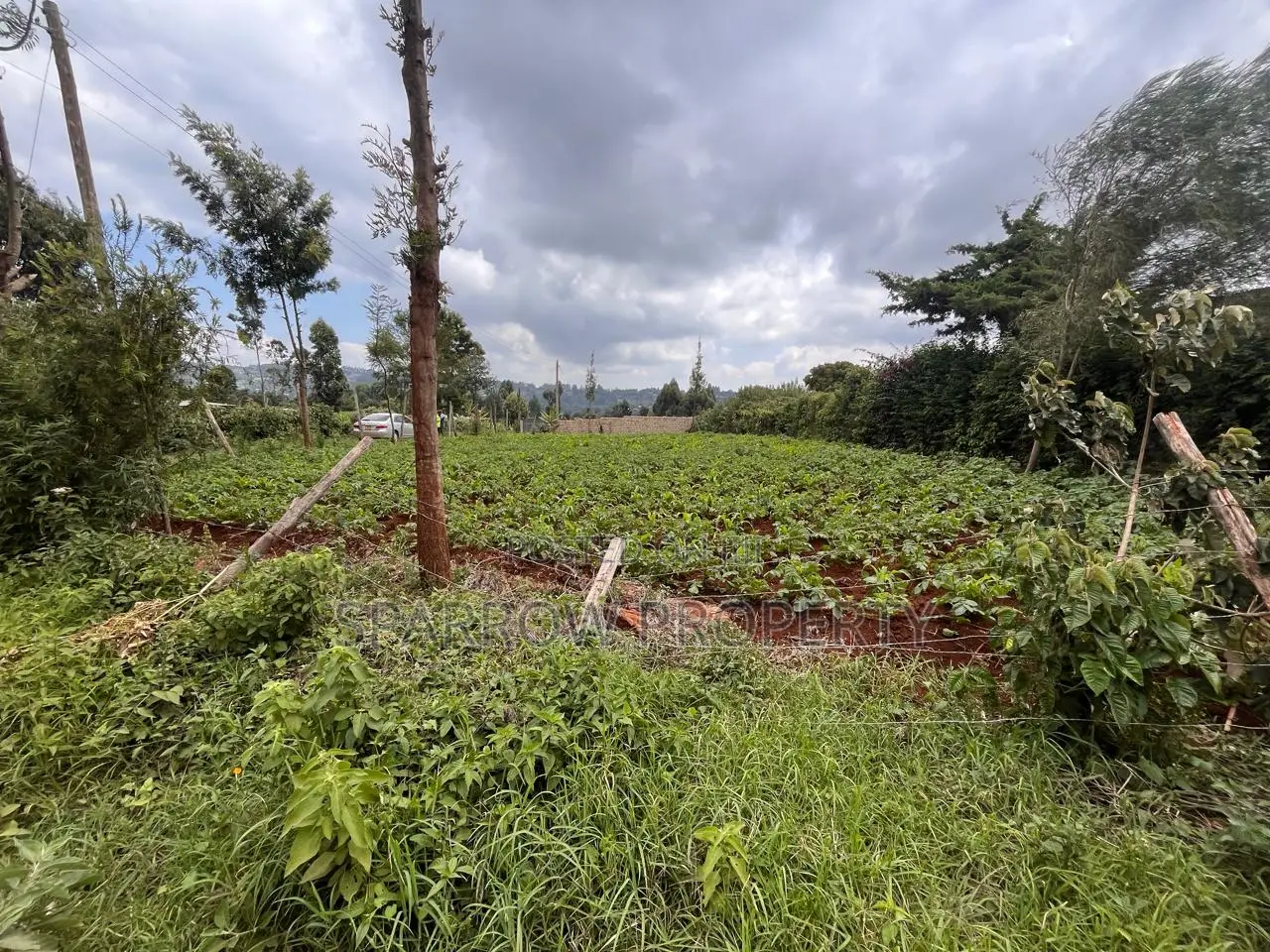 Kikuyu Plot for Sale in Muguga