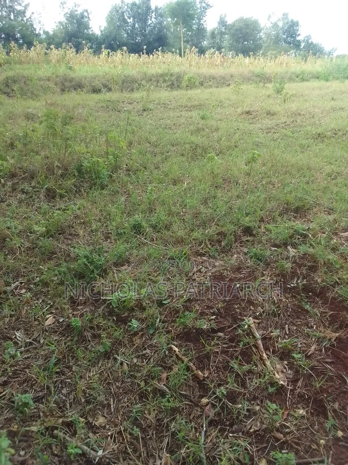 10 Acres Mua Hills-Kilaani Selling at 6m Per Acre in Mua Hills