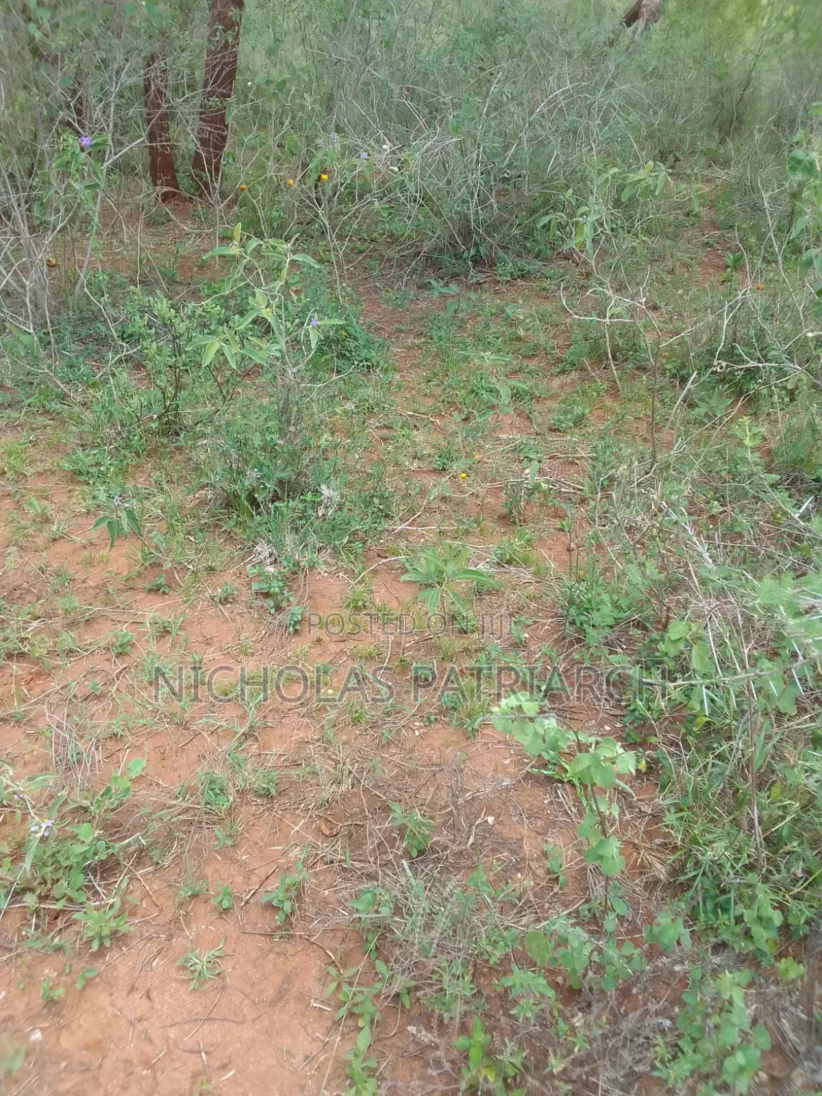 3 Acres Wamunyu -Machakos County Seliing at Per Acre in Wamunyu