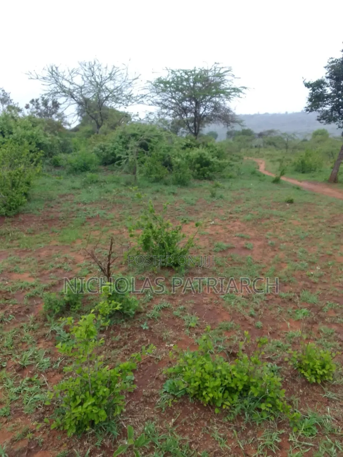 3 Acres Wamunyu -Machakos County Seliing at Per Acre in Wamunyu