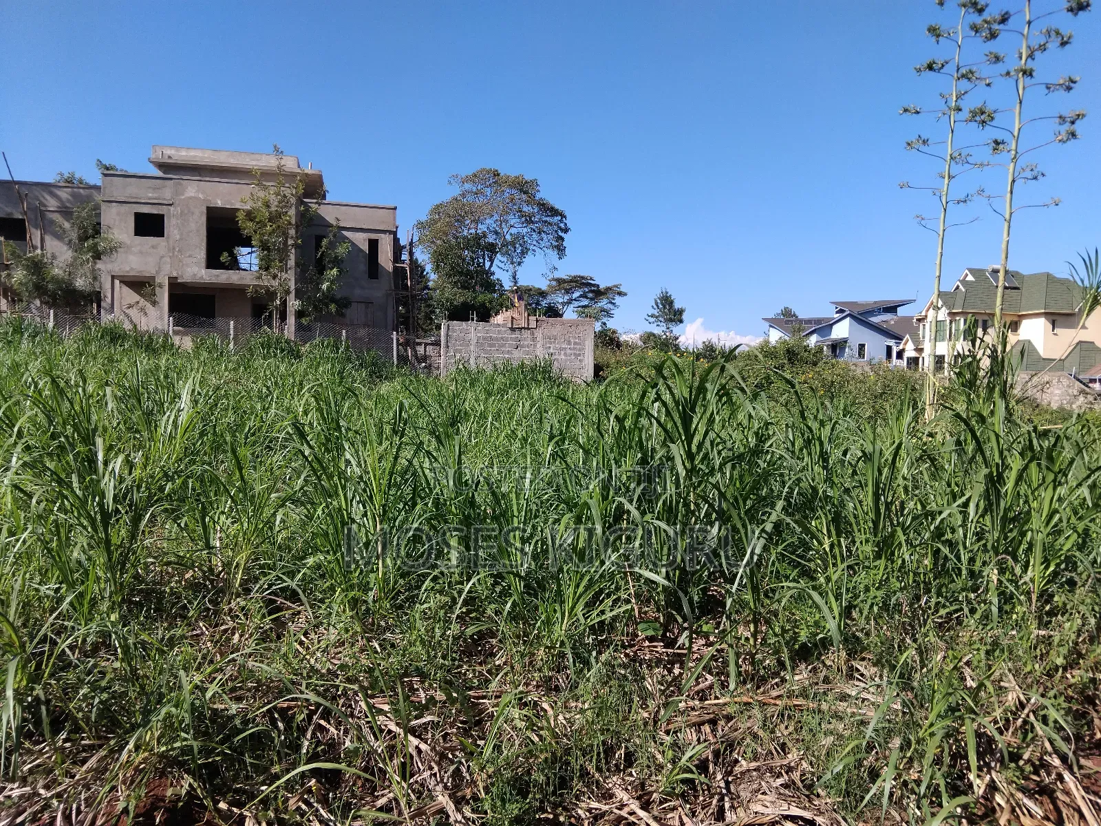 Githingiri, Thika Golf View Estate, 1/4 Plot for Sale in Thika